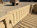 General Appearance with Paint