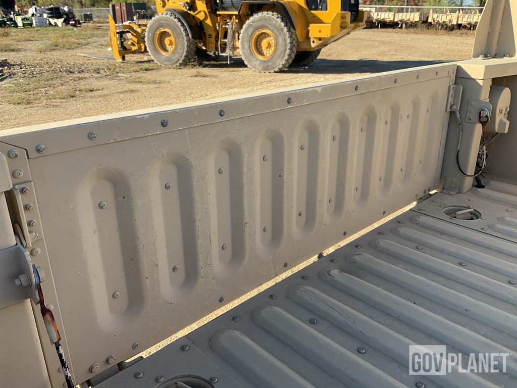 General Appearance with Paint
