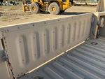 General Appearance with Paint