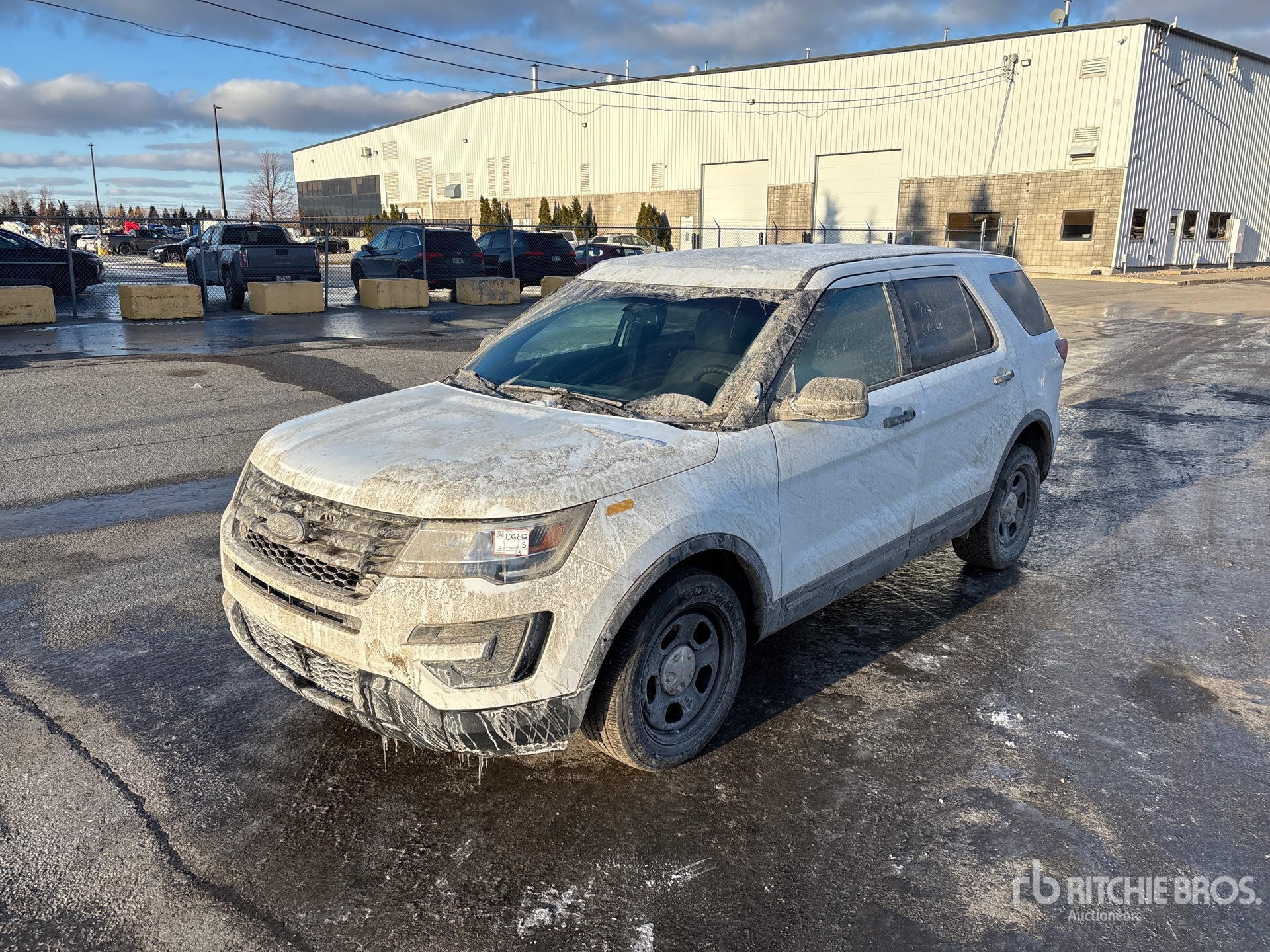 General Appearance with Spin