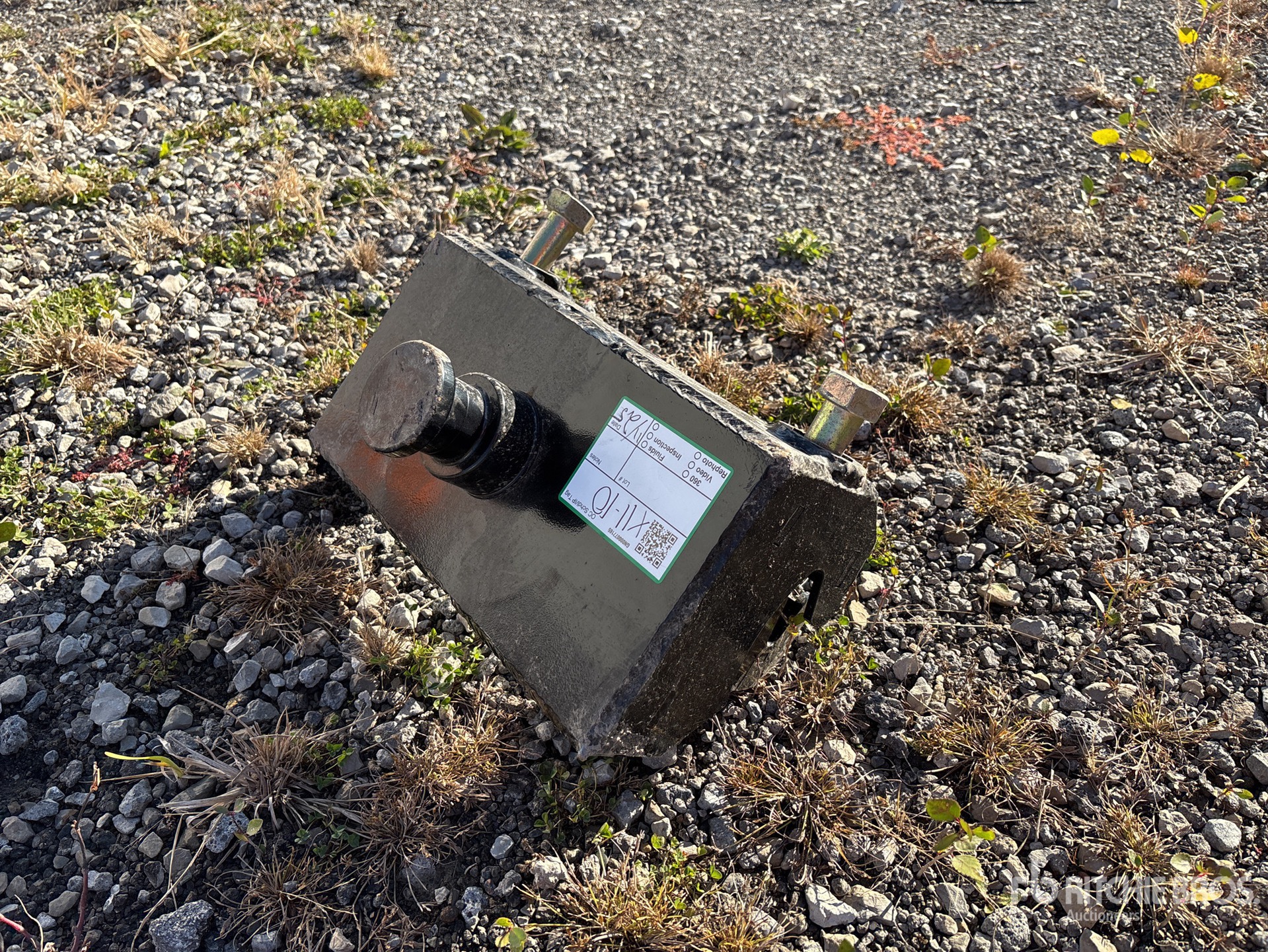 General Appearance with Foto, angolo anteriore sinistro