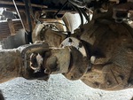 Drivetrain with