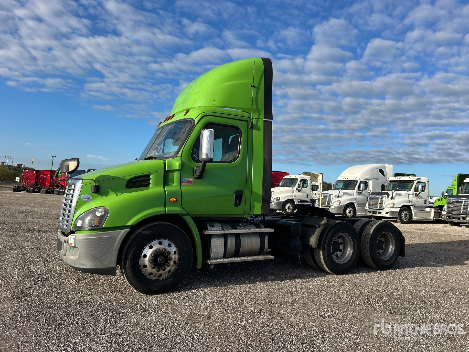 General Appearance with Spin