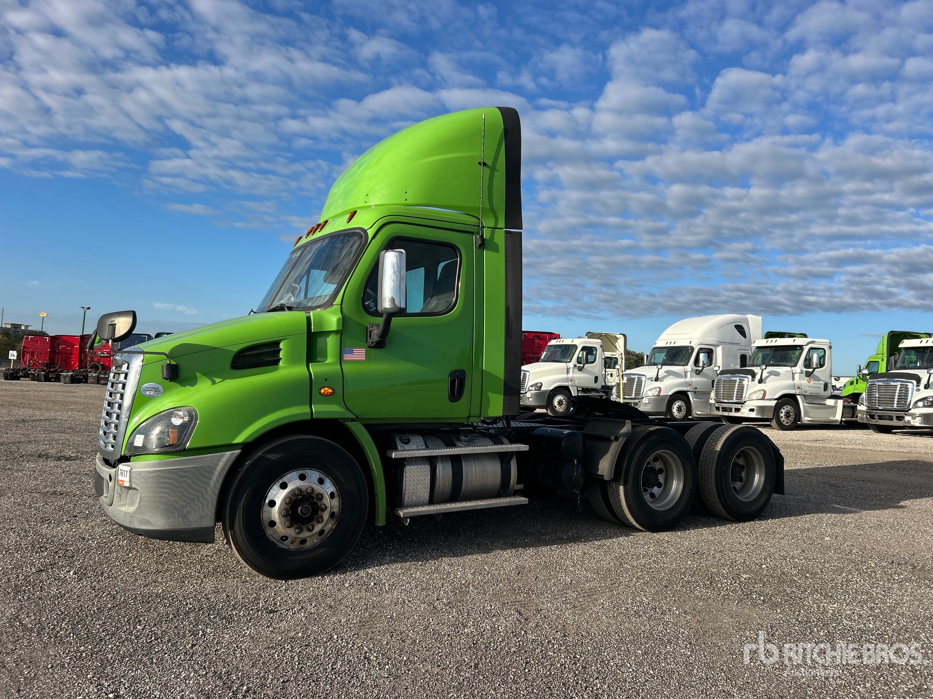 General Appearance with Spin