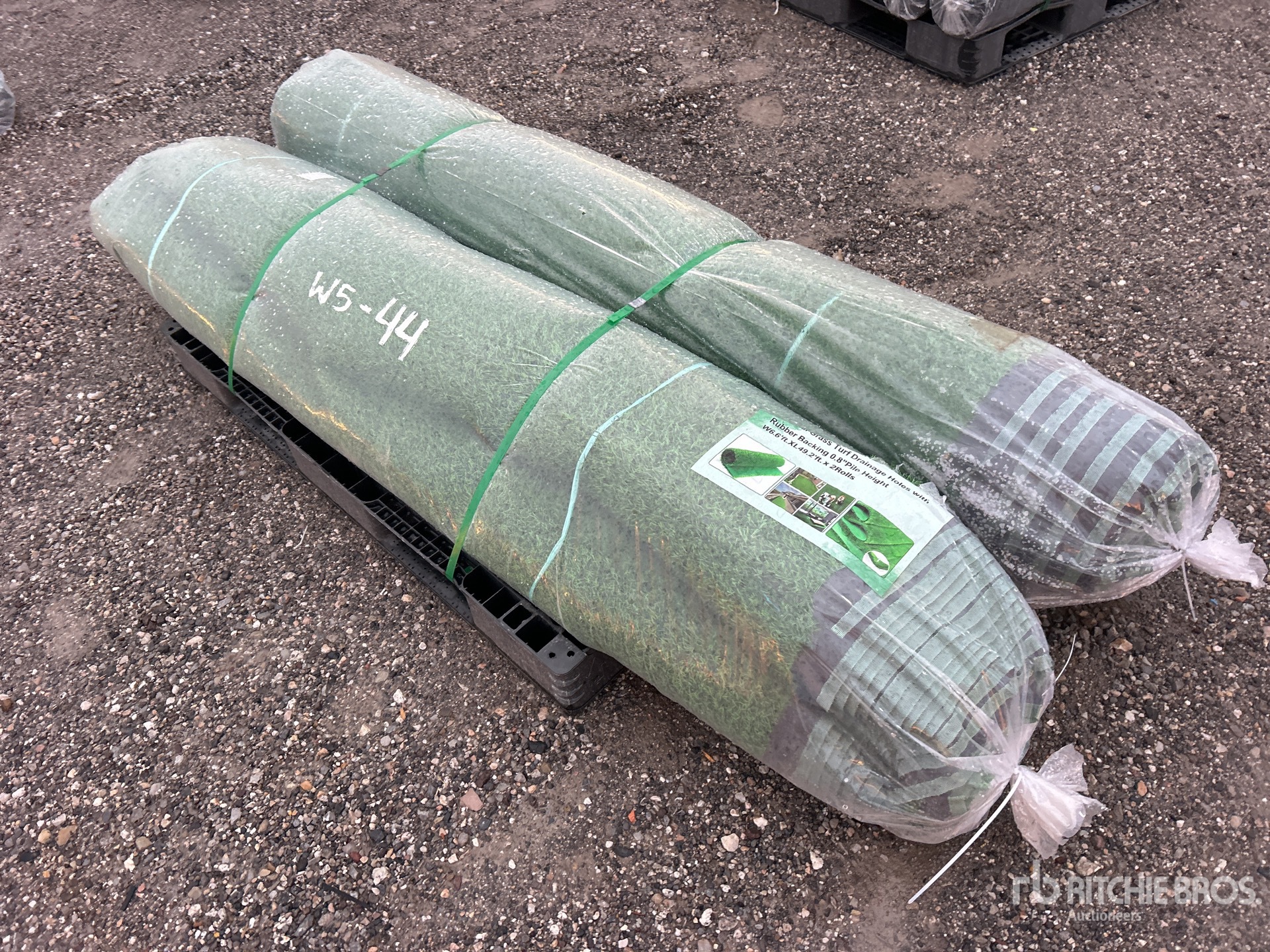 General Appearance with Bild, Ecke hinten links