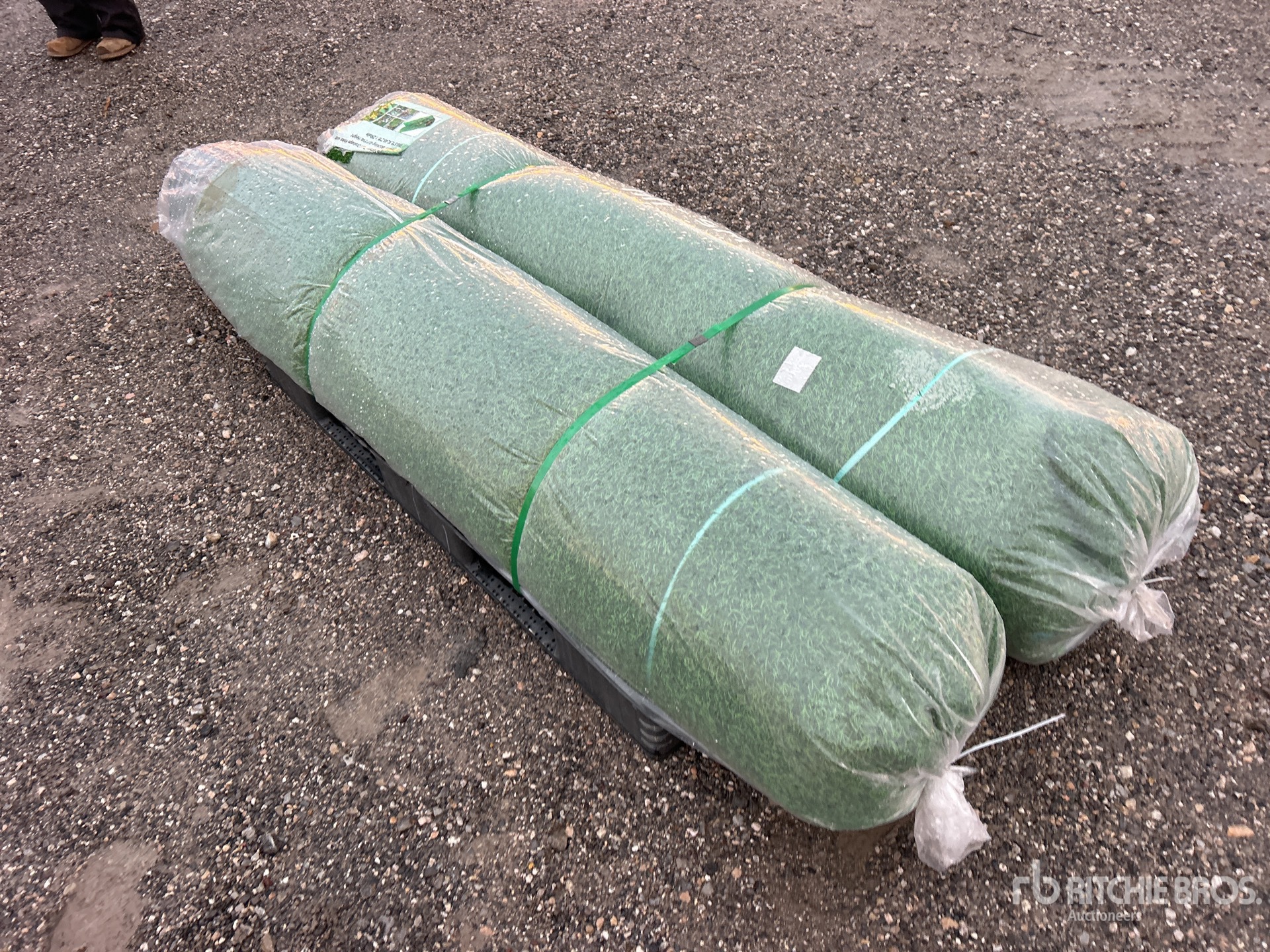 General Appearance with Bild, Ecke vorne rechts