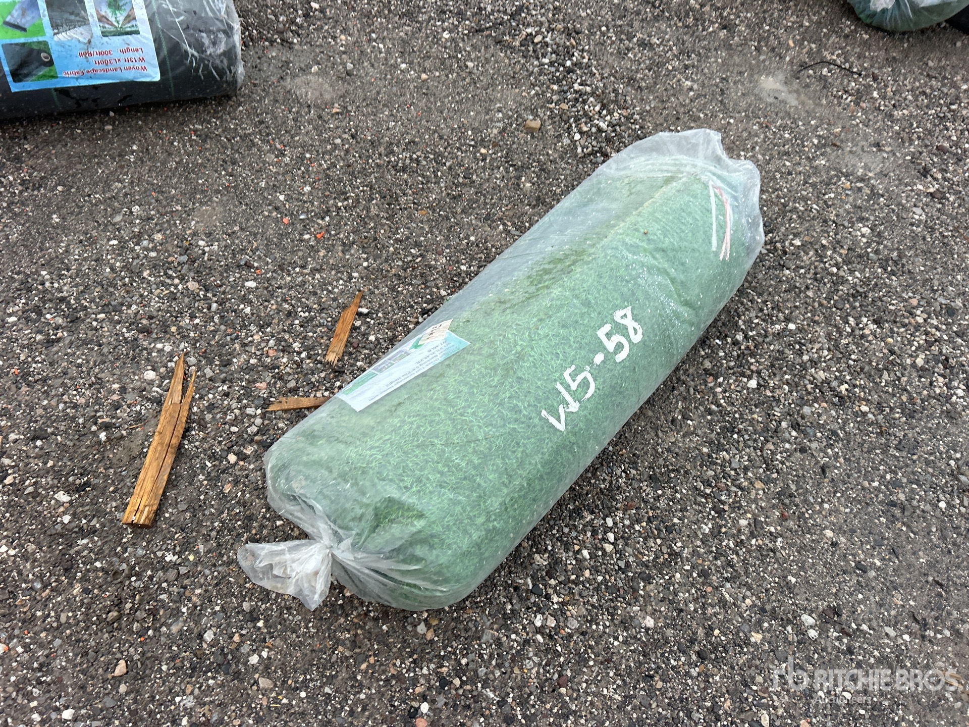 General Appearance with Bild, Ecke vorne links