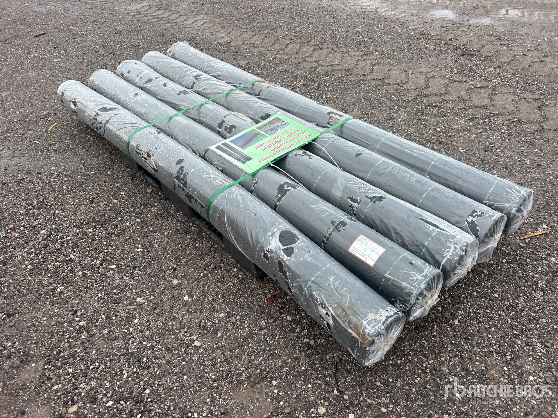 General Appearance with Bild, Ecke vorne rechts