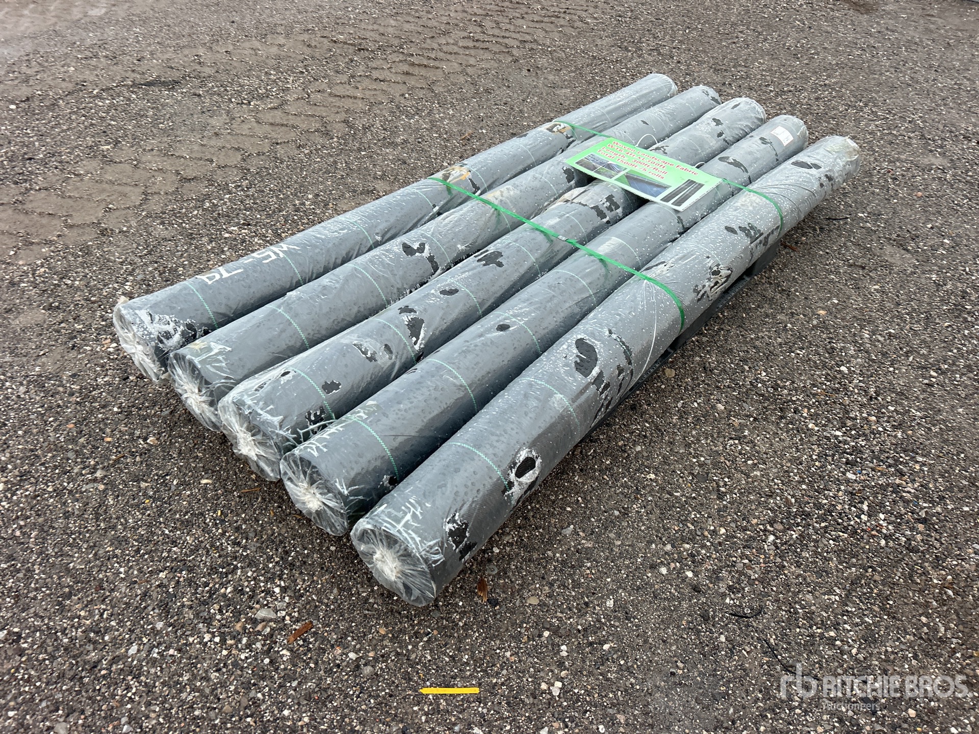 General Appearance with Bild, Ecke hinten rechts