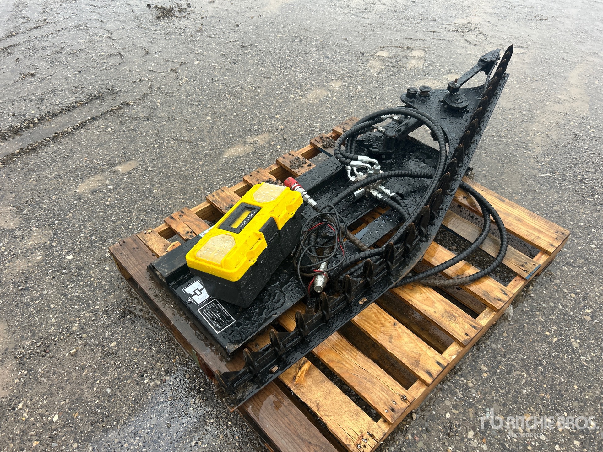 General Appearance with Image, coin arrière droit