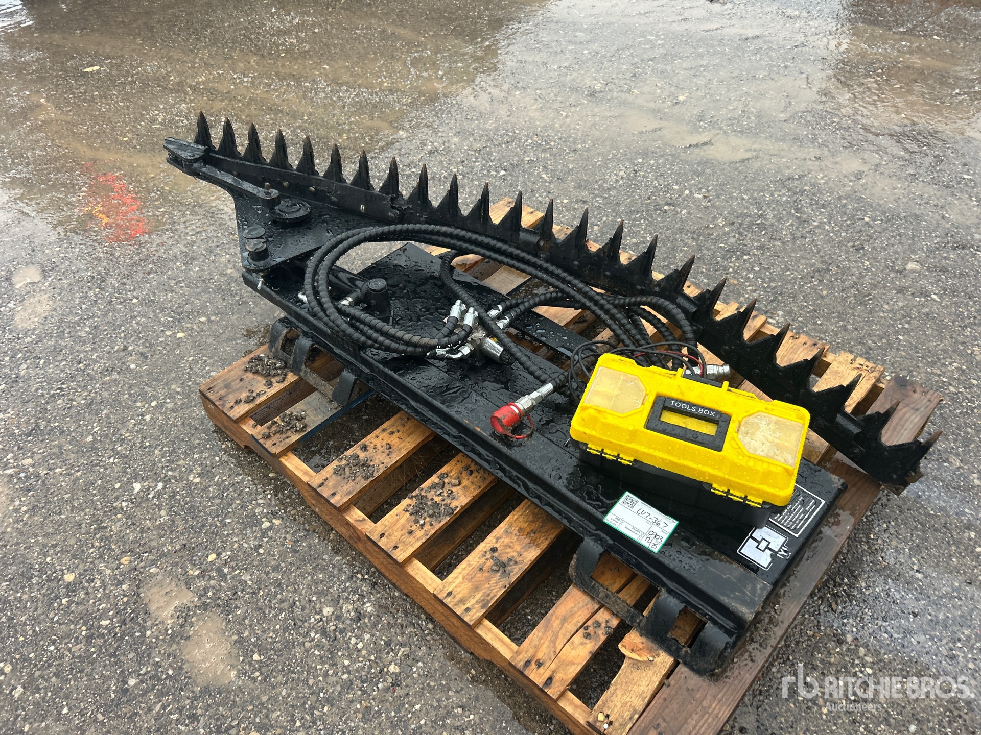 General Appearance with Image, coin arrière gauche