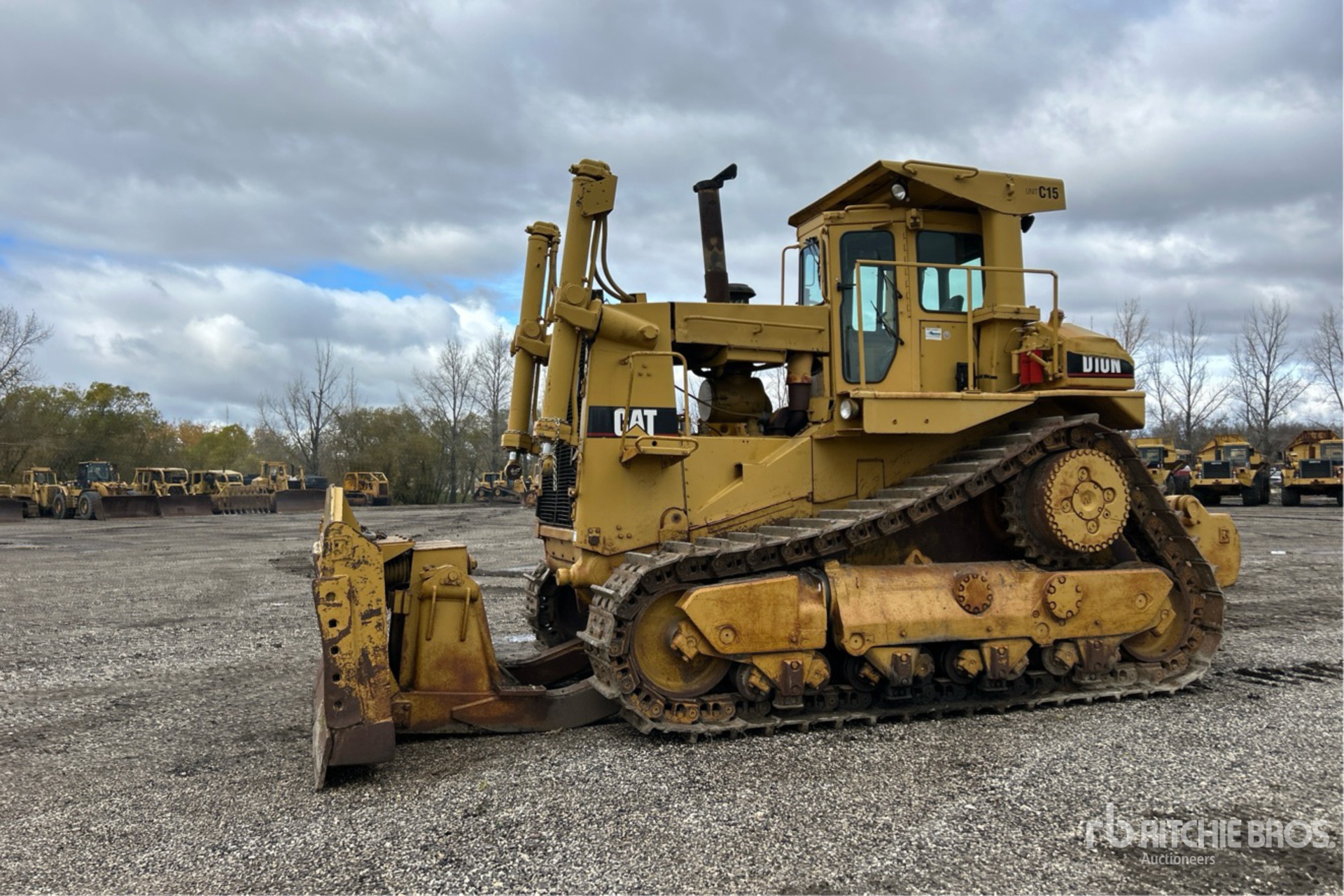 General Appearance with Spin