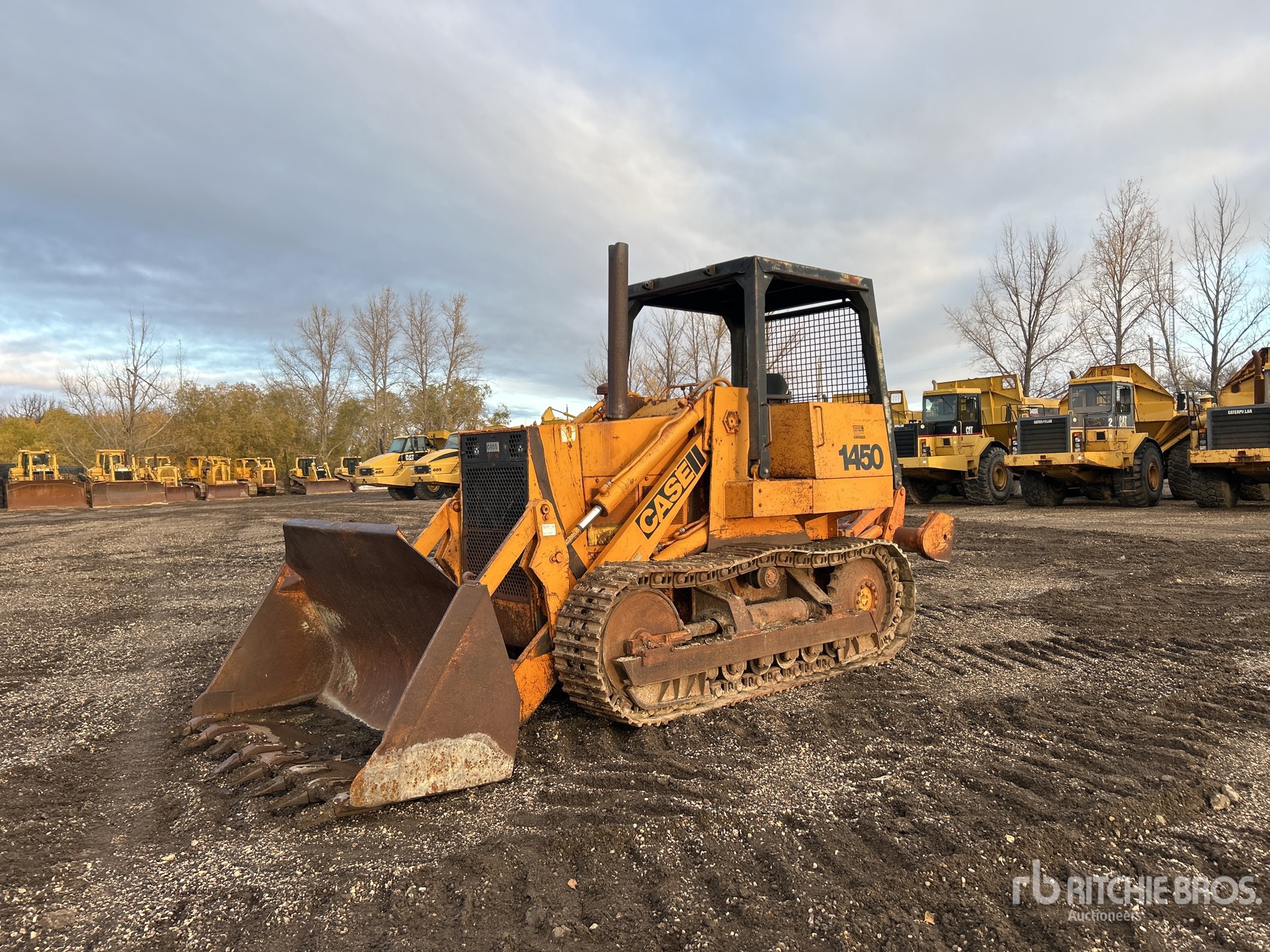 General Appearance with Bild, Ecke vorne links