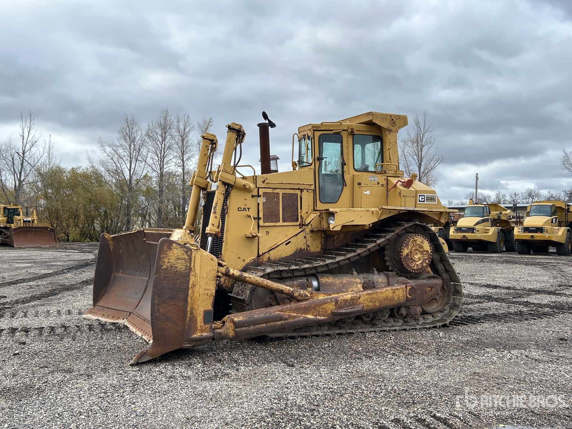 General Appearance with Spin