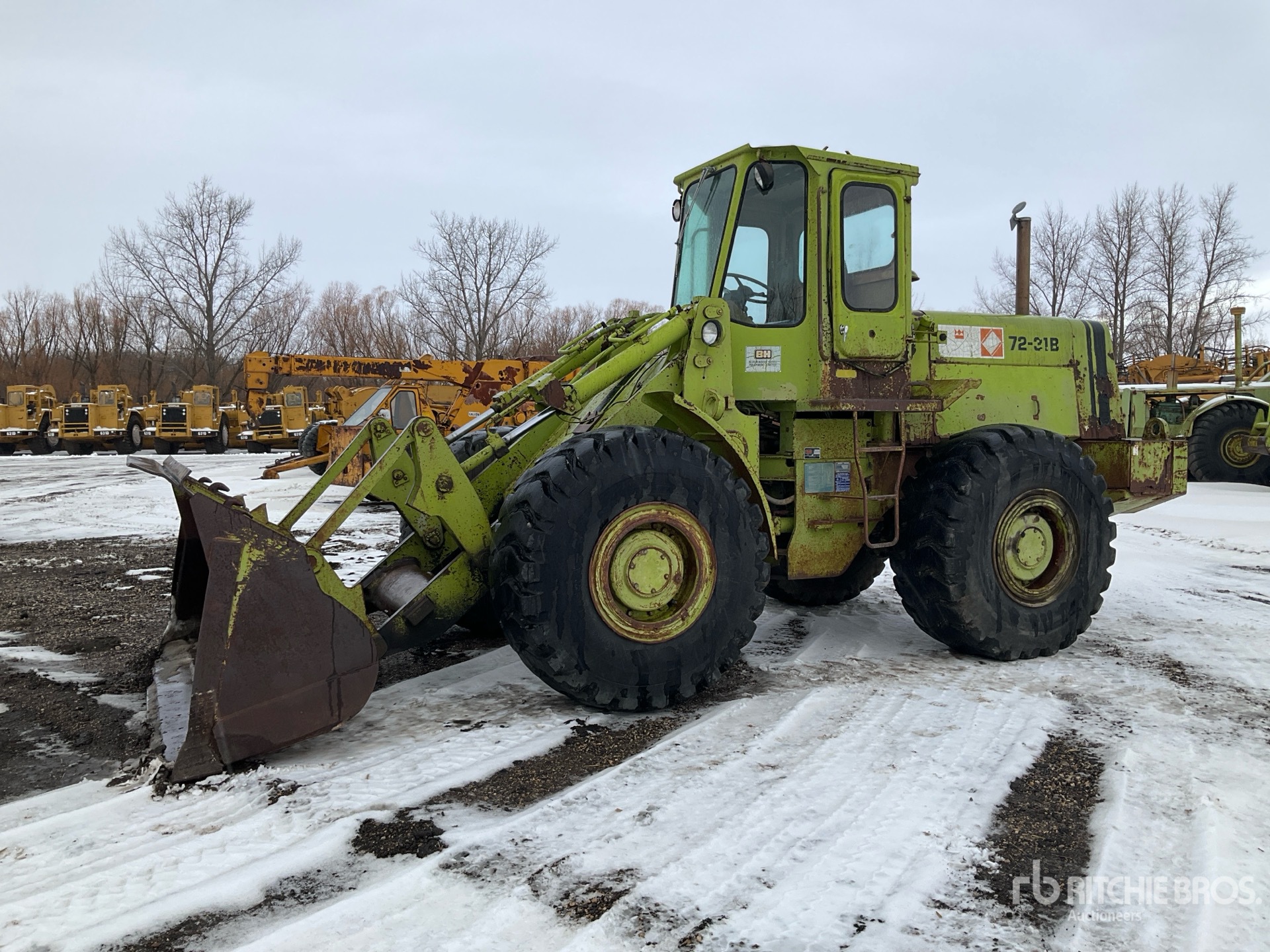 General Appearance with Spin