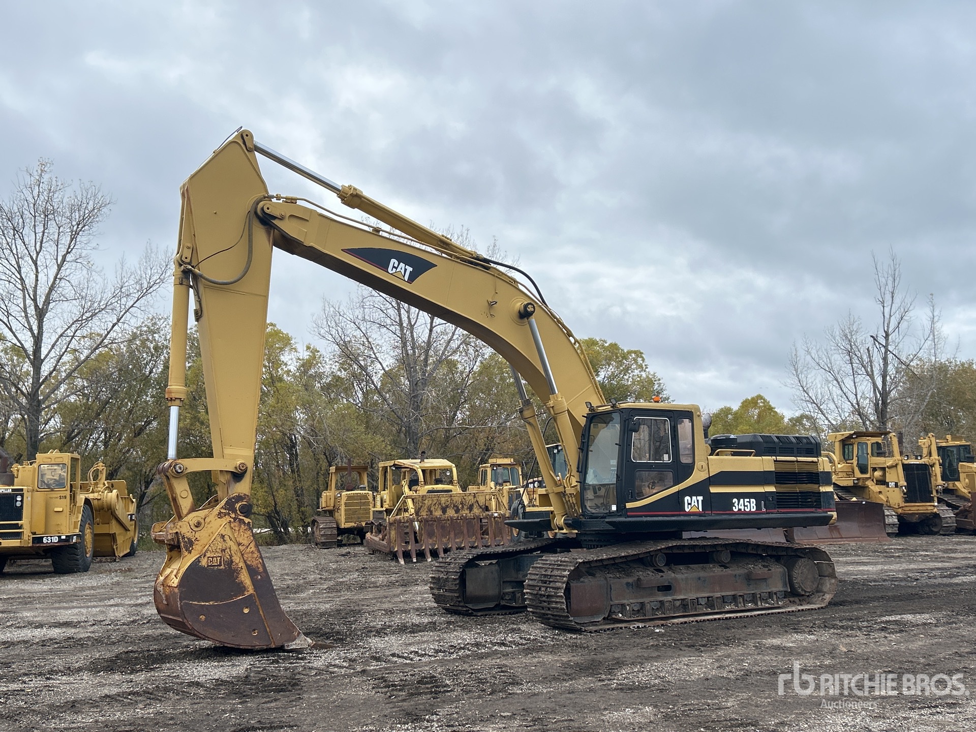 General Appearance with Spin