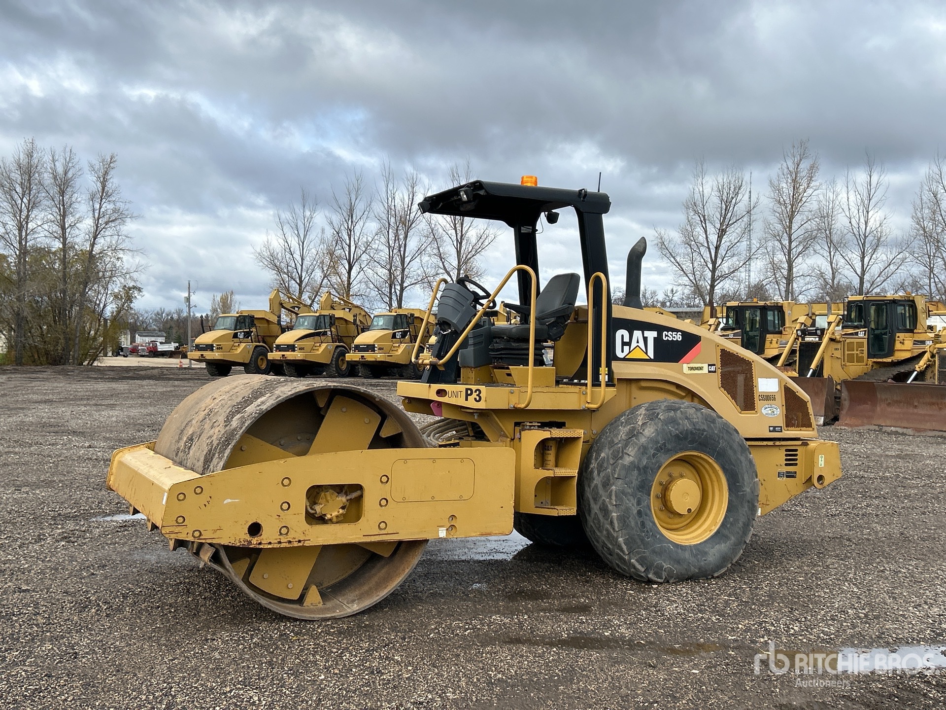 General Appearance with Spin