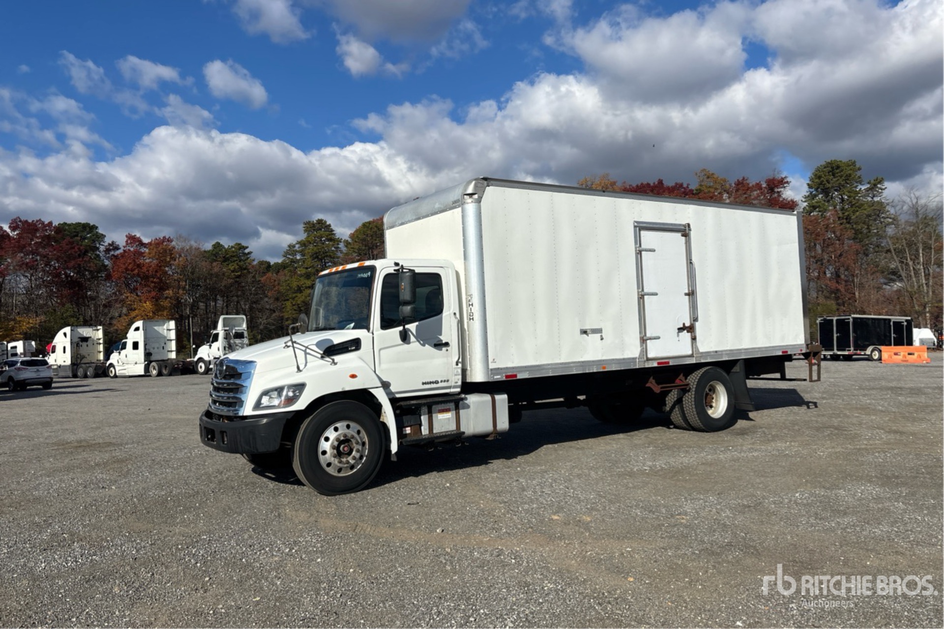 General Appearance with Spin