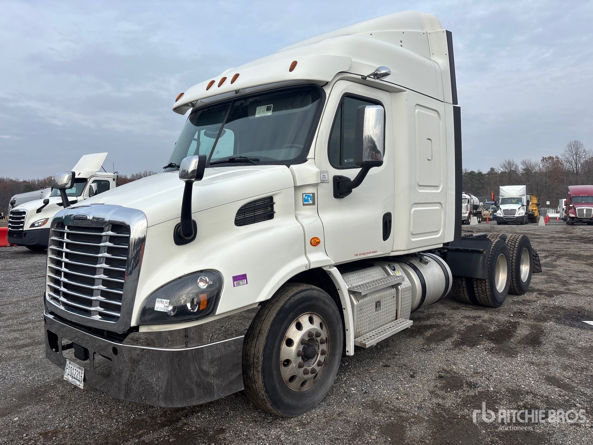 General Appearance with Spin