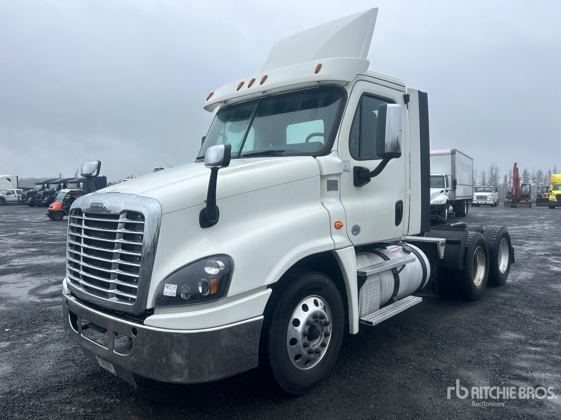 General Appearance with Spin