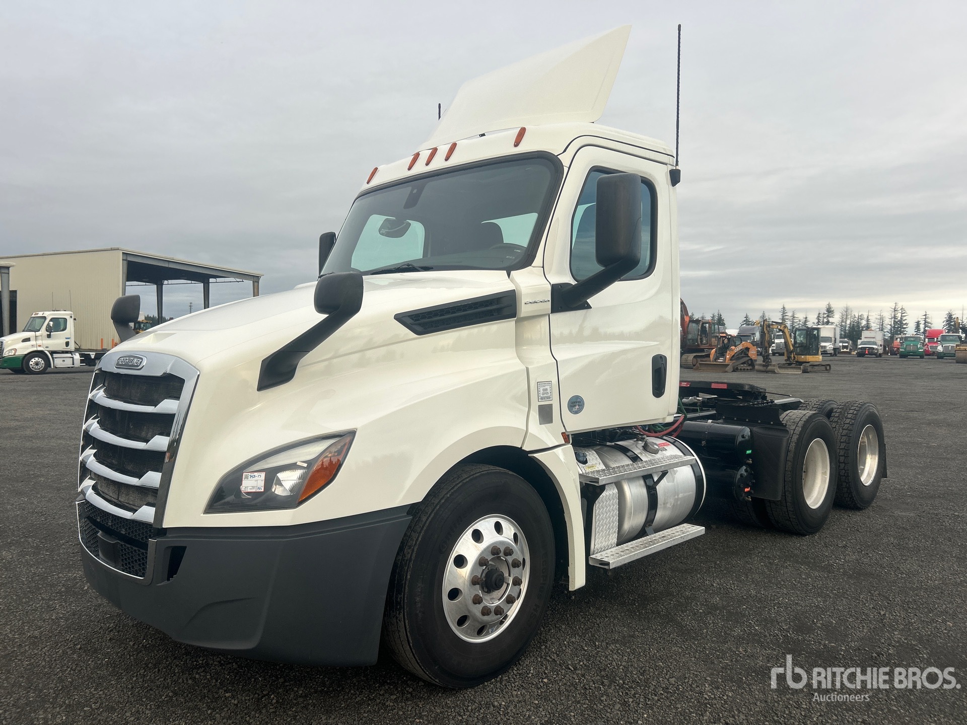 General Appearance with Spin