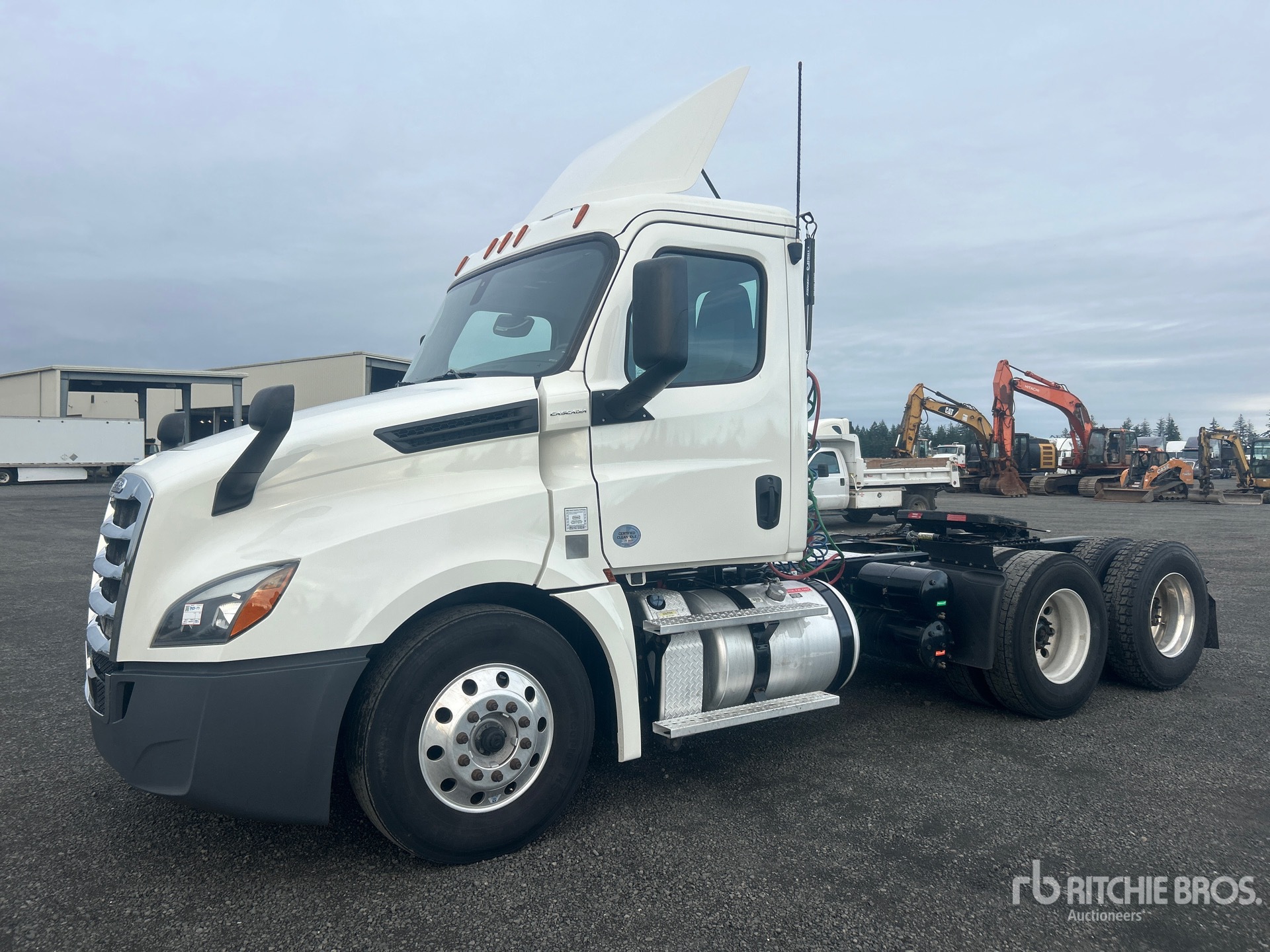 General Appearance with Spin