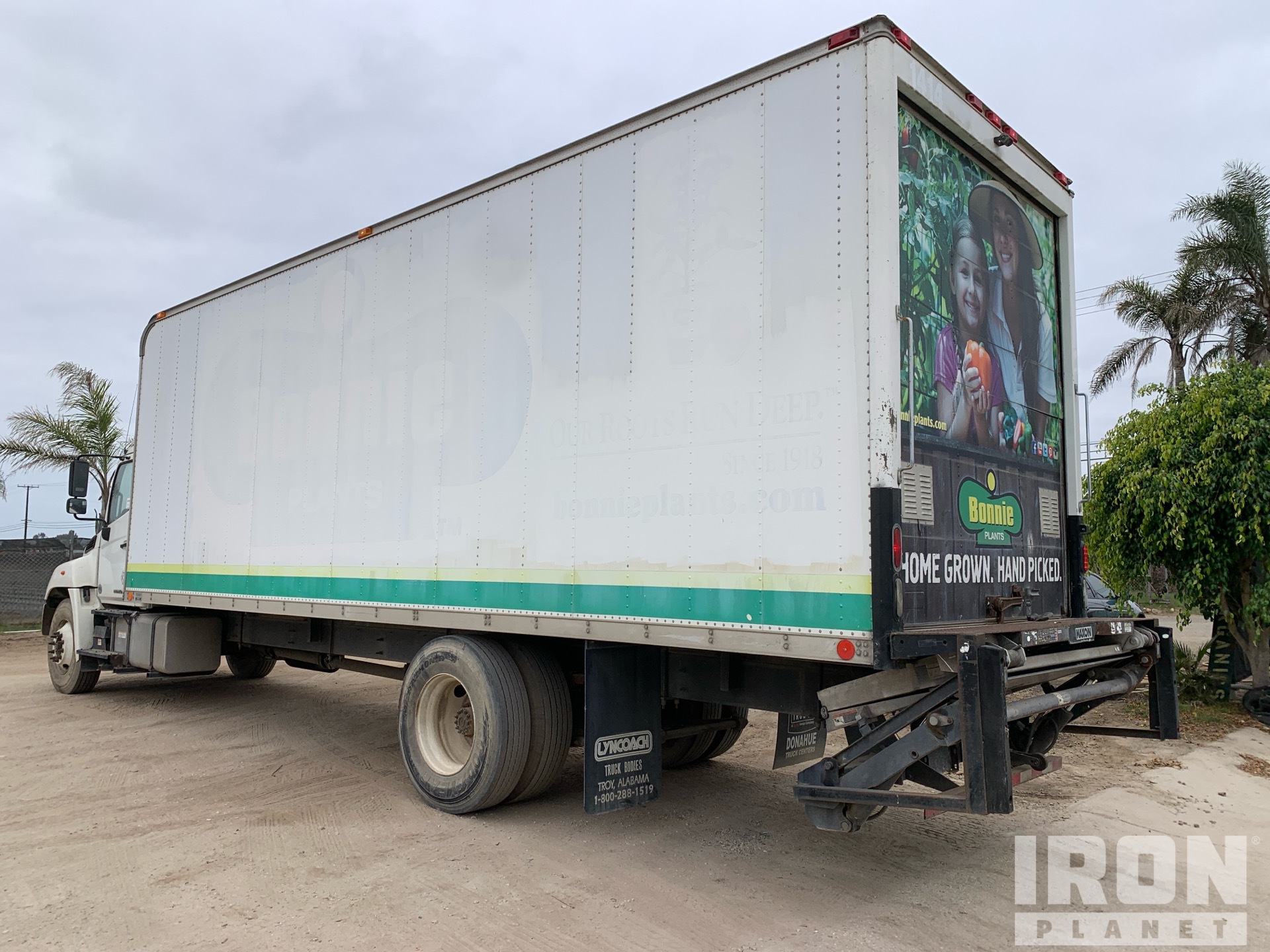 General Appearance with Bild, Ecke hinten links