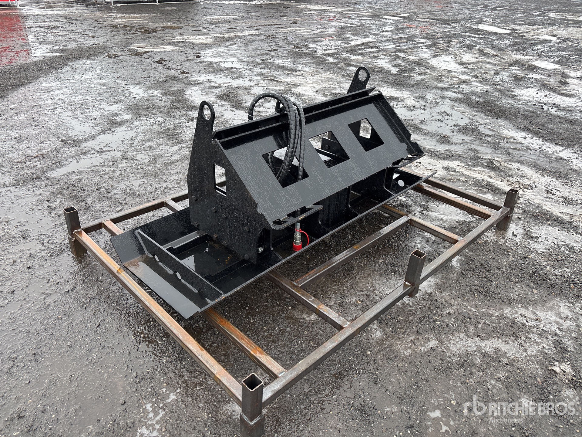 General Appearance with Zdjęcie, lewy dolny róg