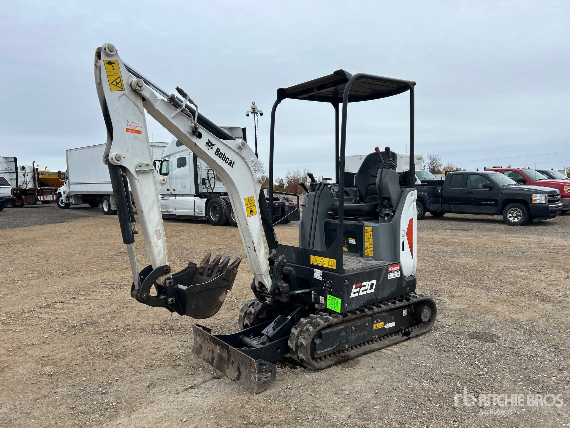 General Appearance with Spin