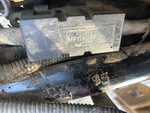 General Appearance with Second Serial Number/VIN Photo