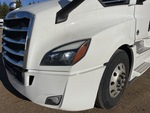 General Appearance with Paint