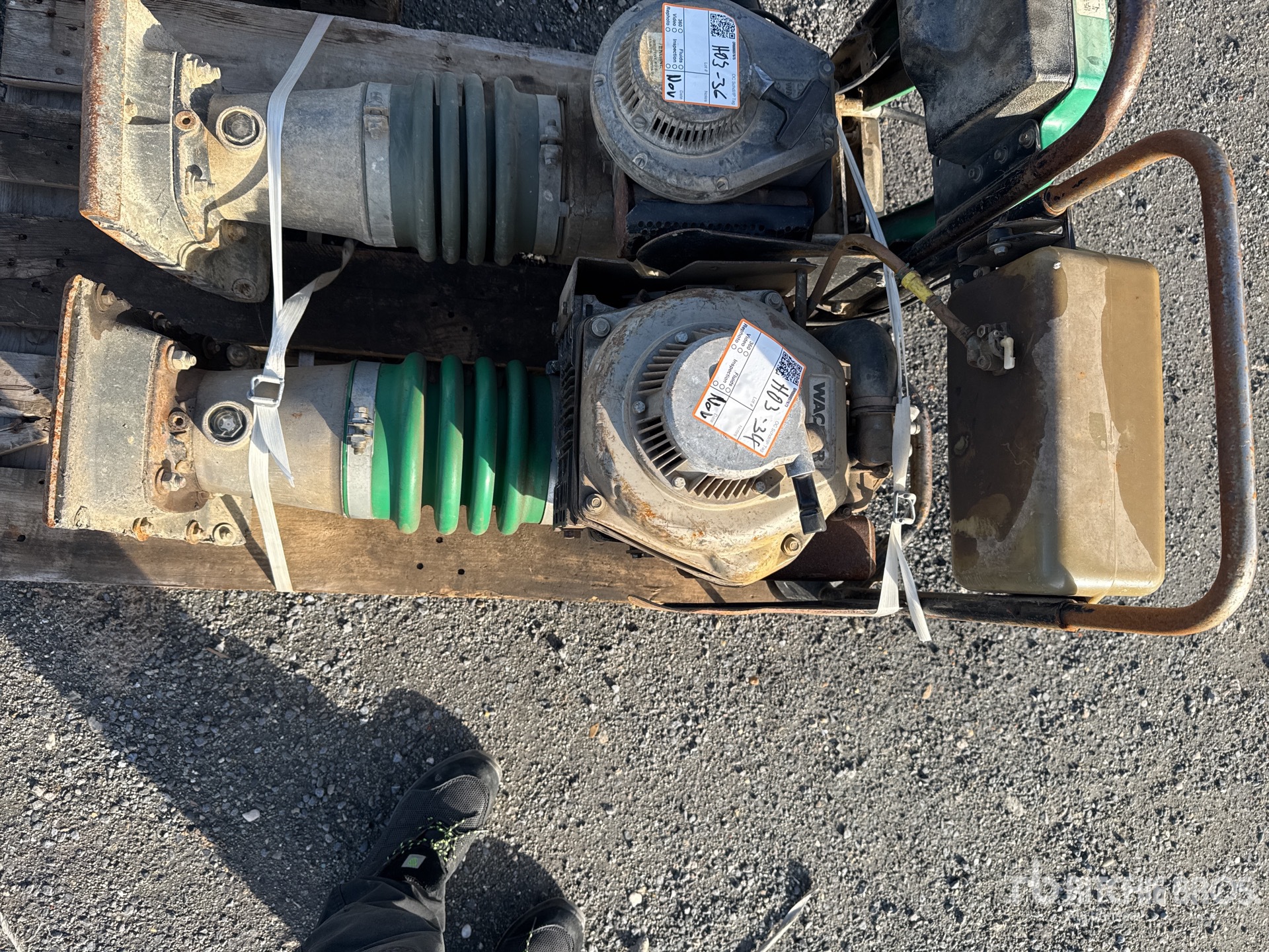 General Appearance with 