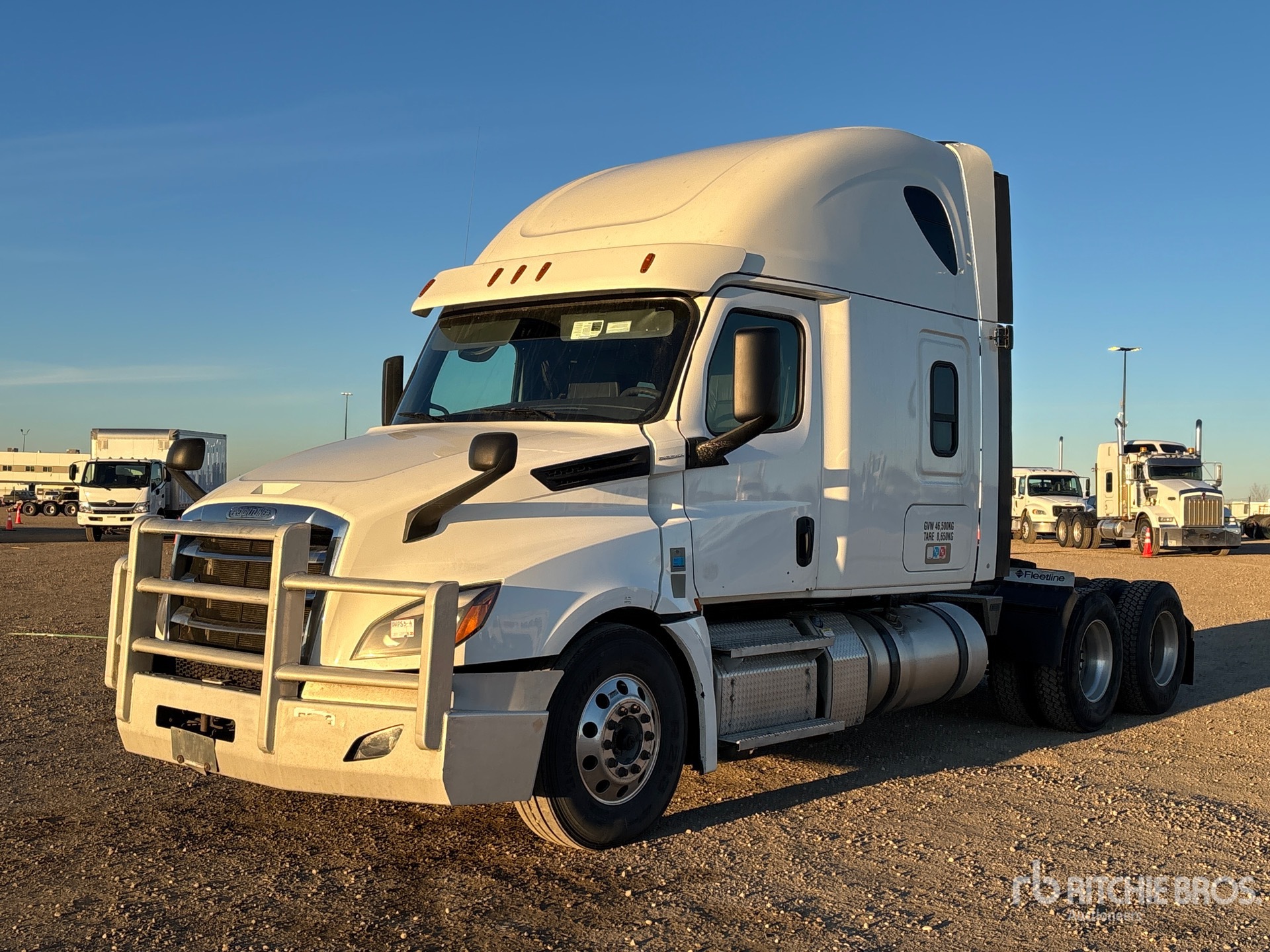 General Appearance with Spin