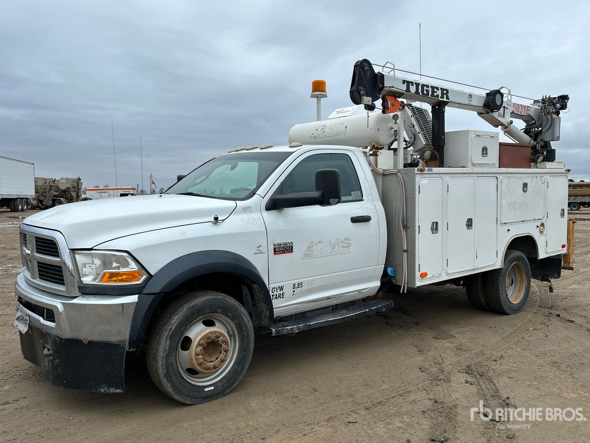 General Appearance with Spin