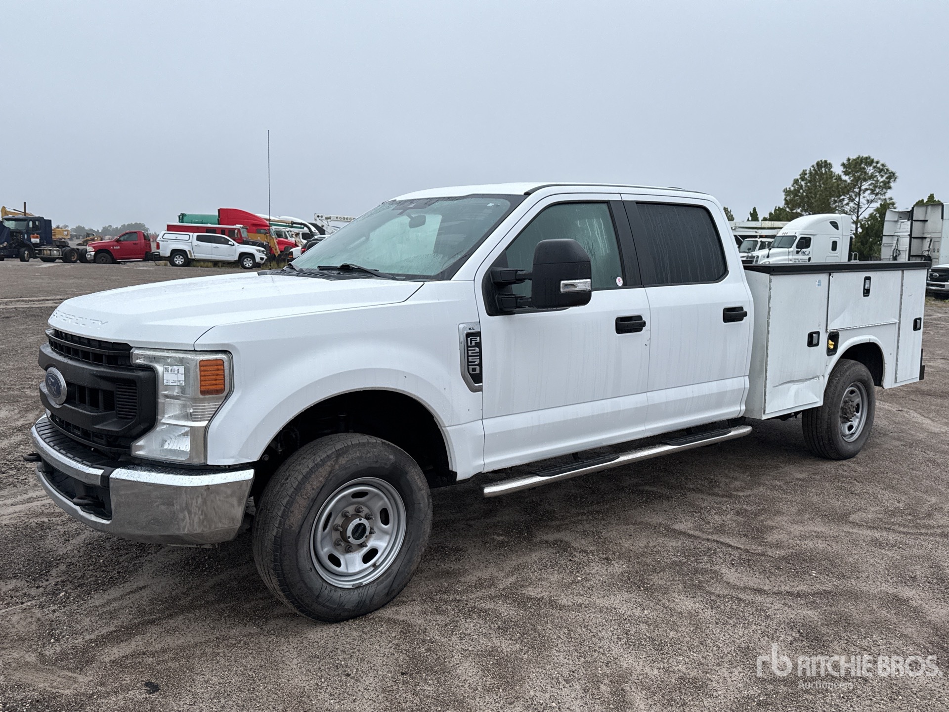 General Appearance with Spin