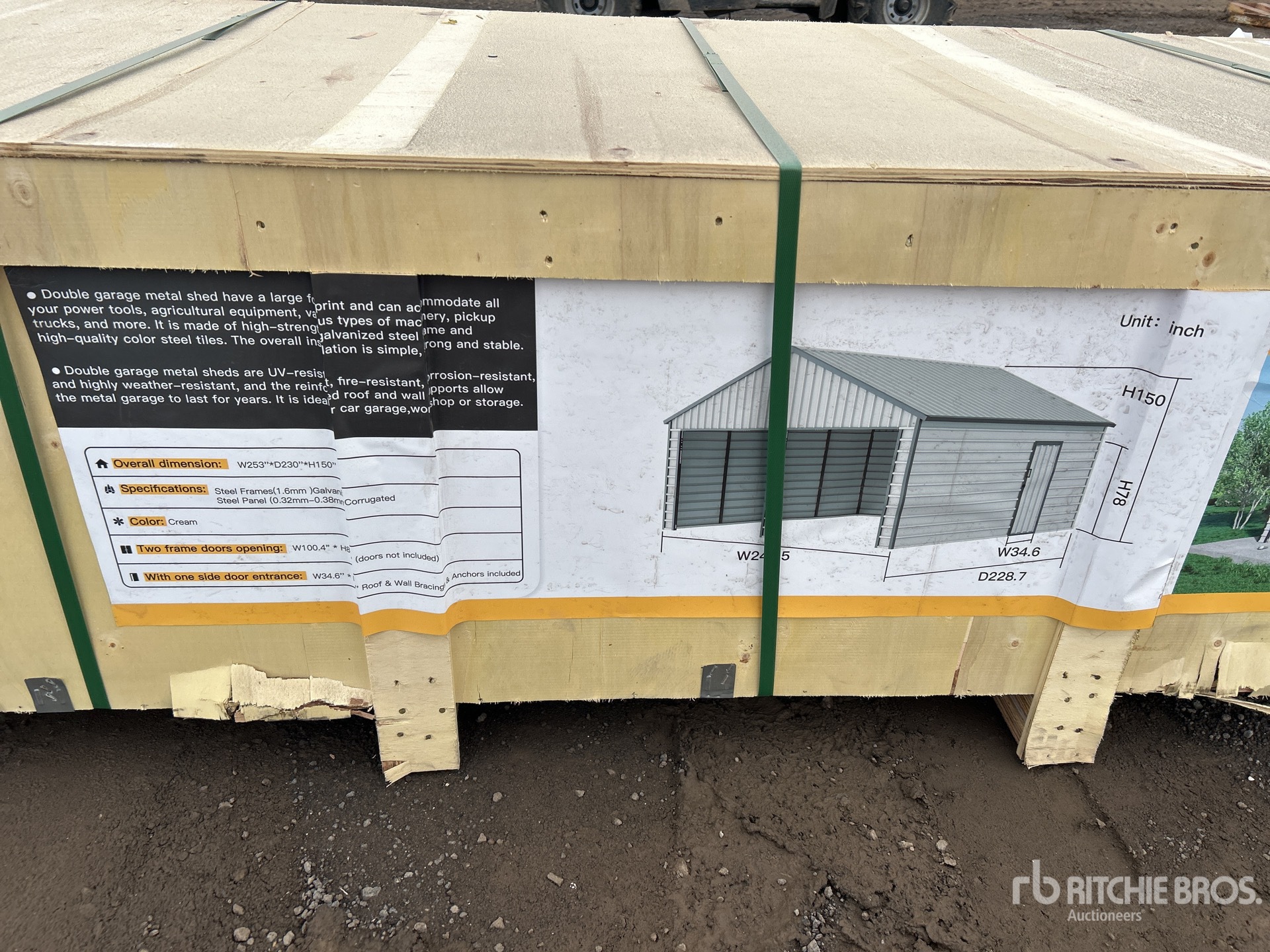 General Appearance with