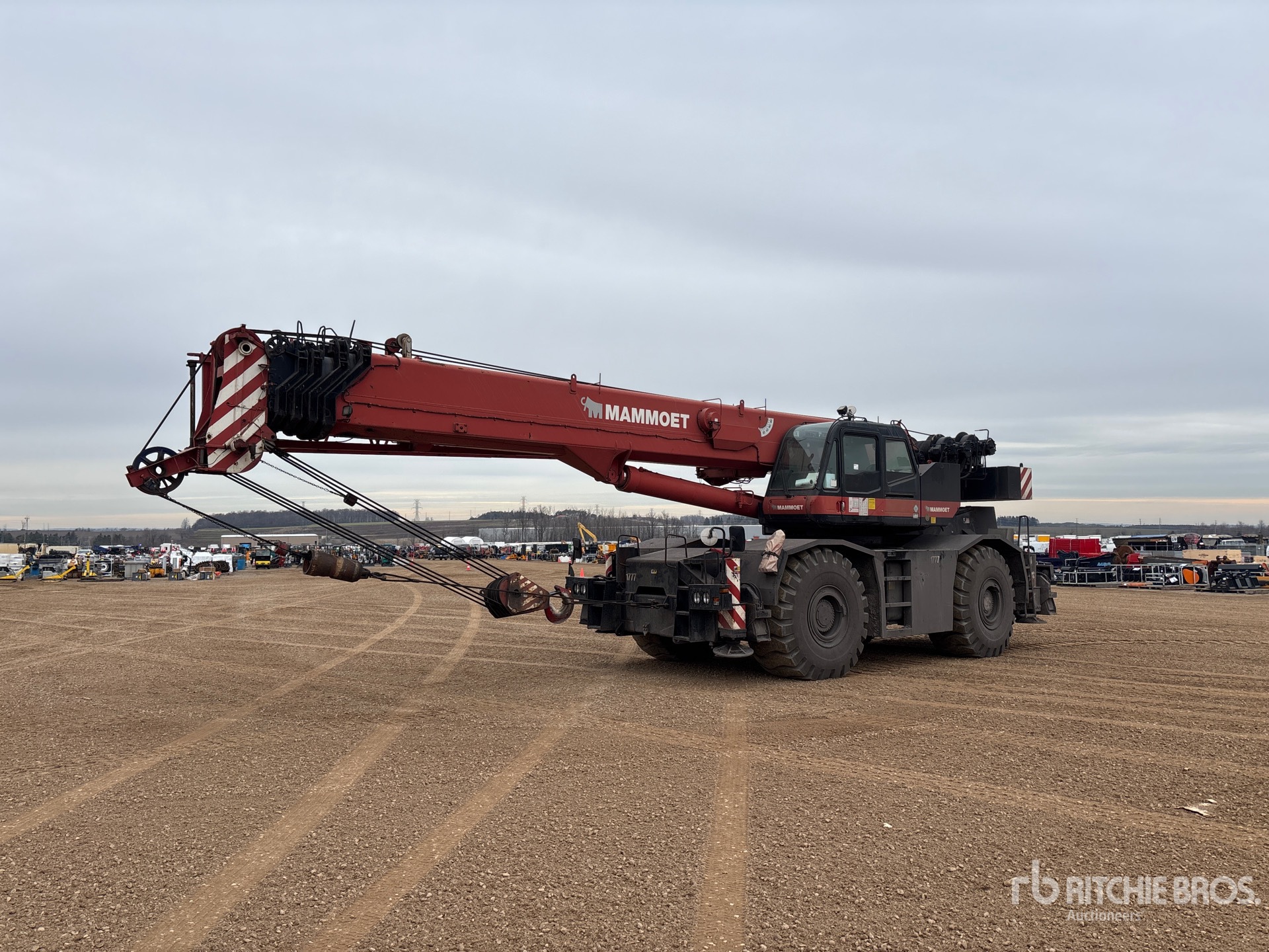 General Appearance with Spin