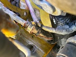 Motor with 