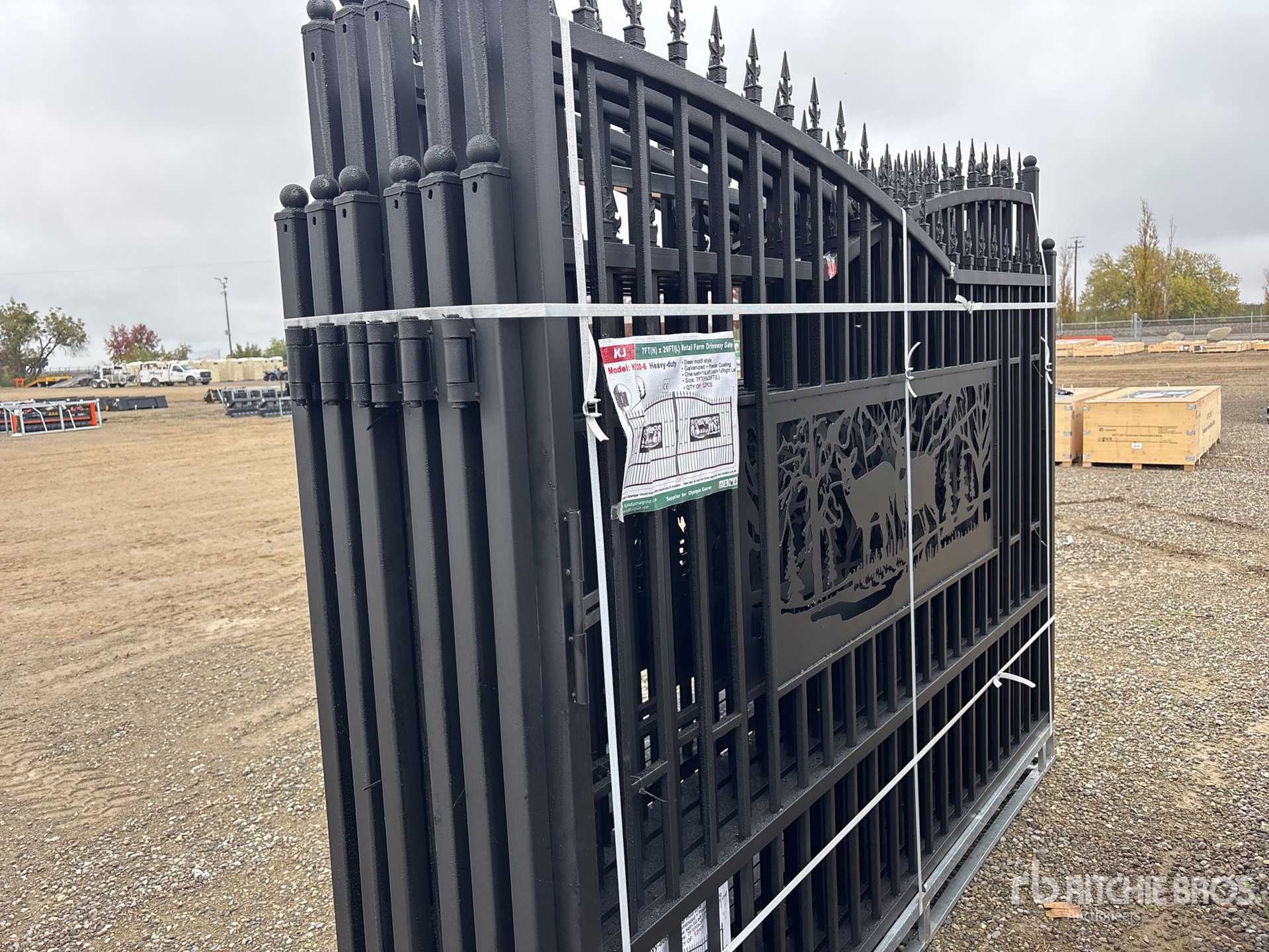 General Appearance with Foto, angolo posteriore sinistro