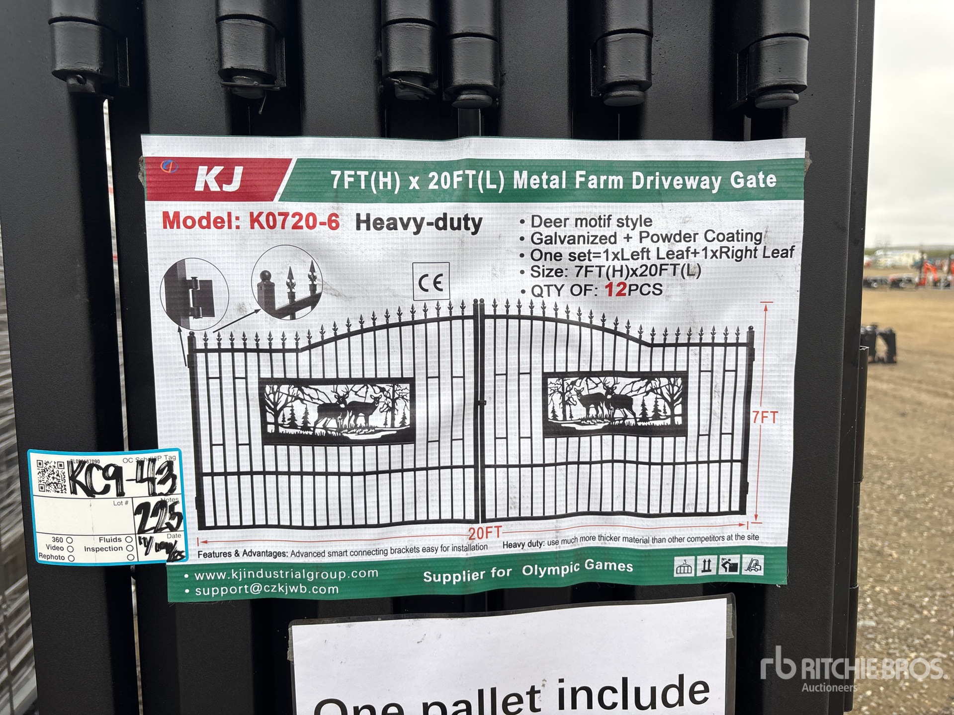 General Appearance with 