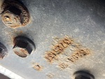 General Appearance with Second Serial Number/VIN Photo
