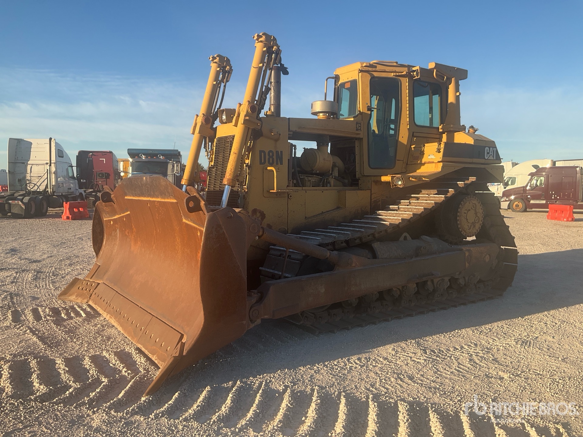 General Appearance with Spin