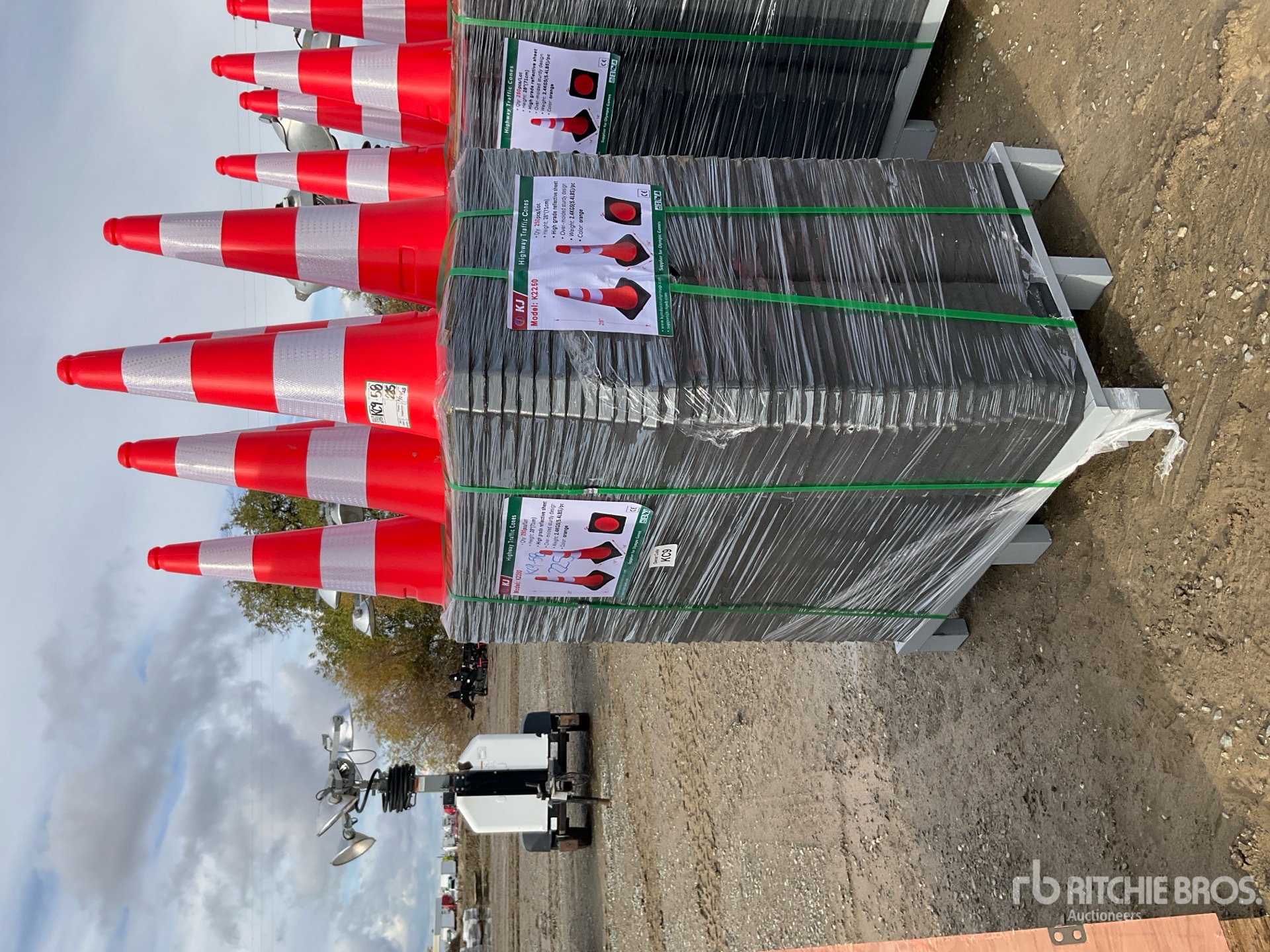 General Appearance with Picture, Left Front Corner