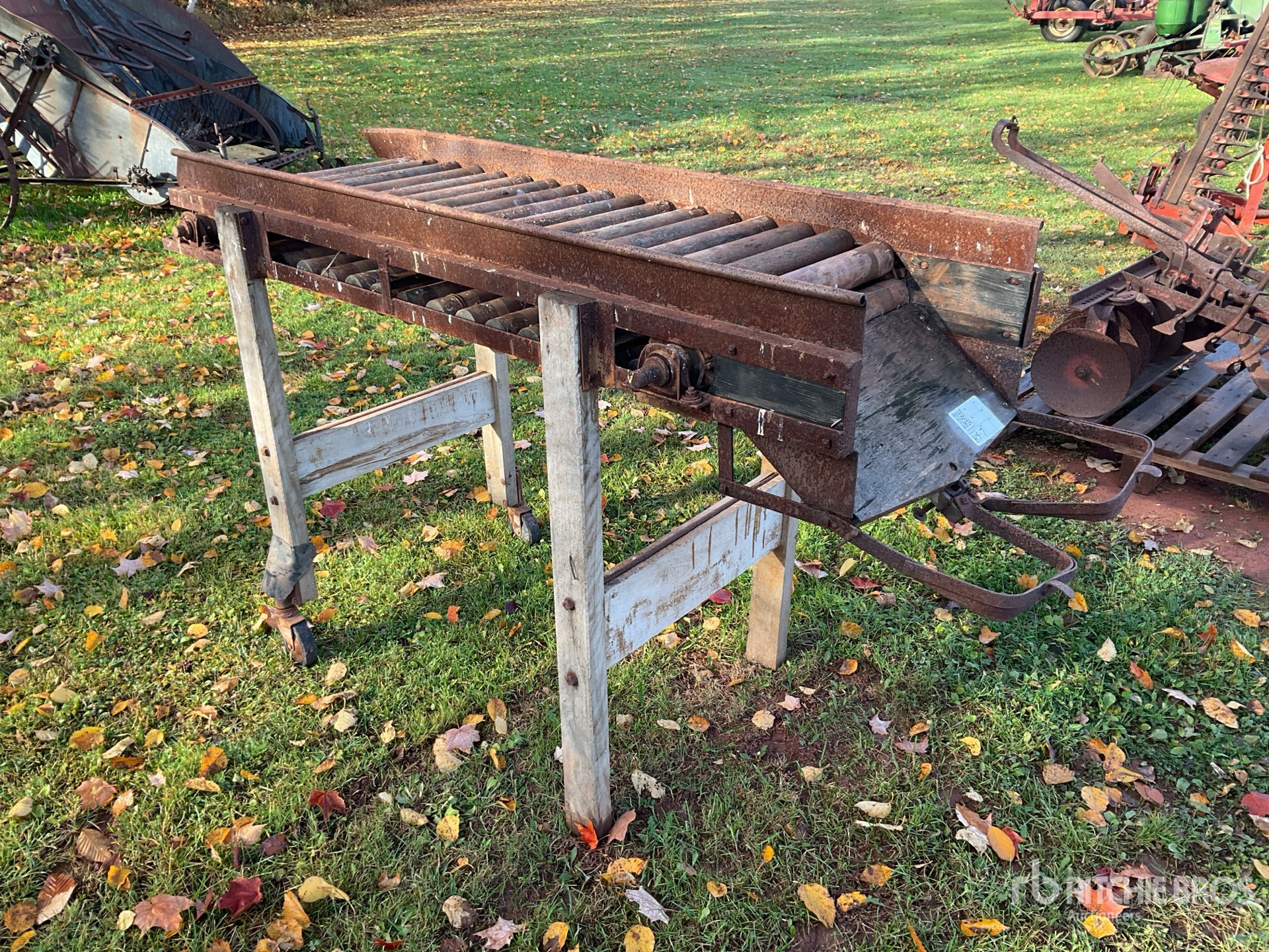 General Appearance with Zdjęcie, prawy górny róg