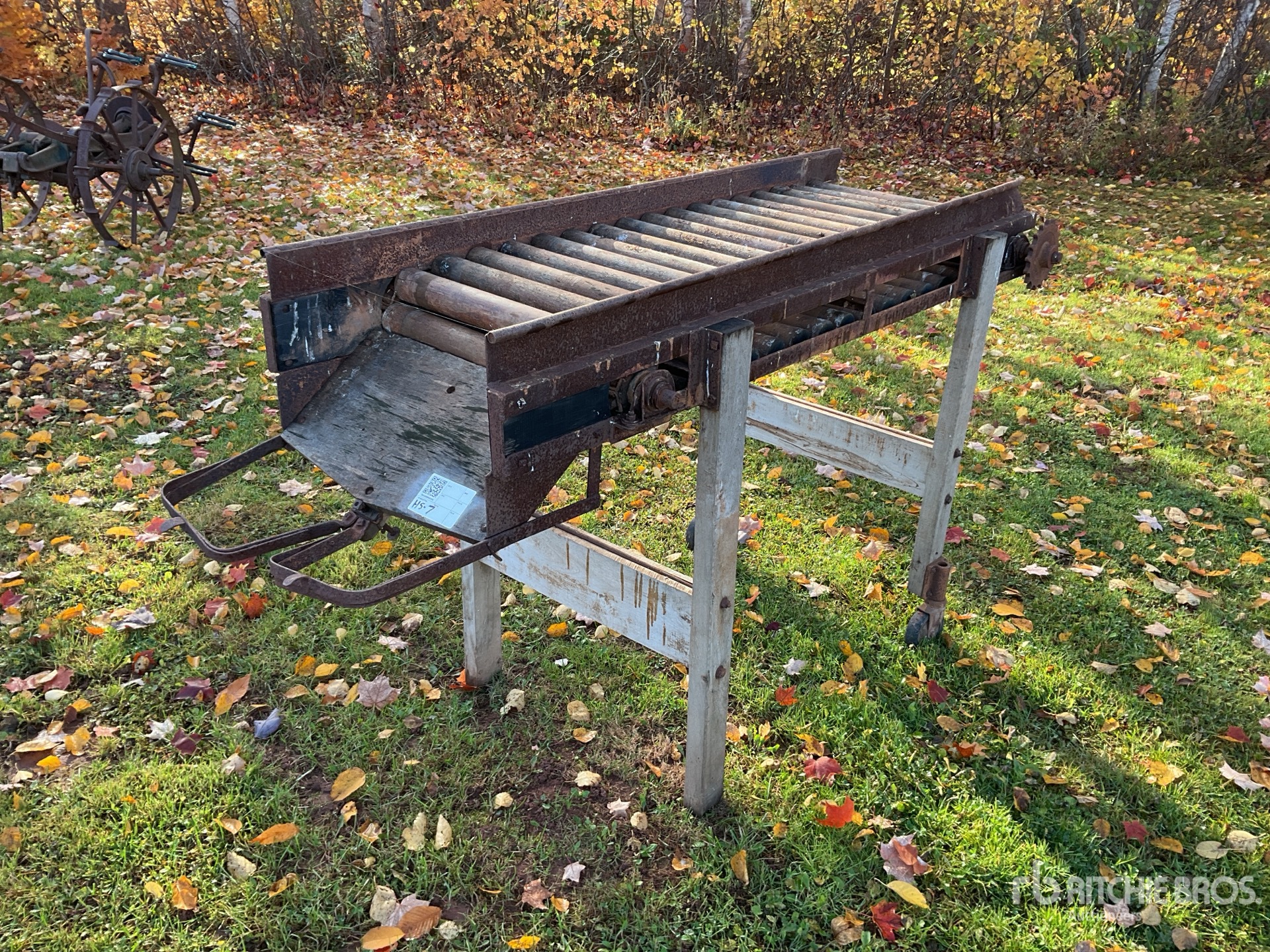 General Appearance with Zdjęcie, lewy górny róg