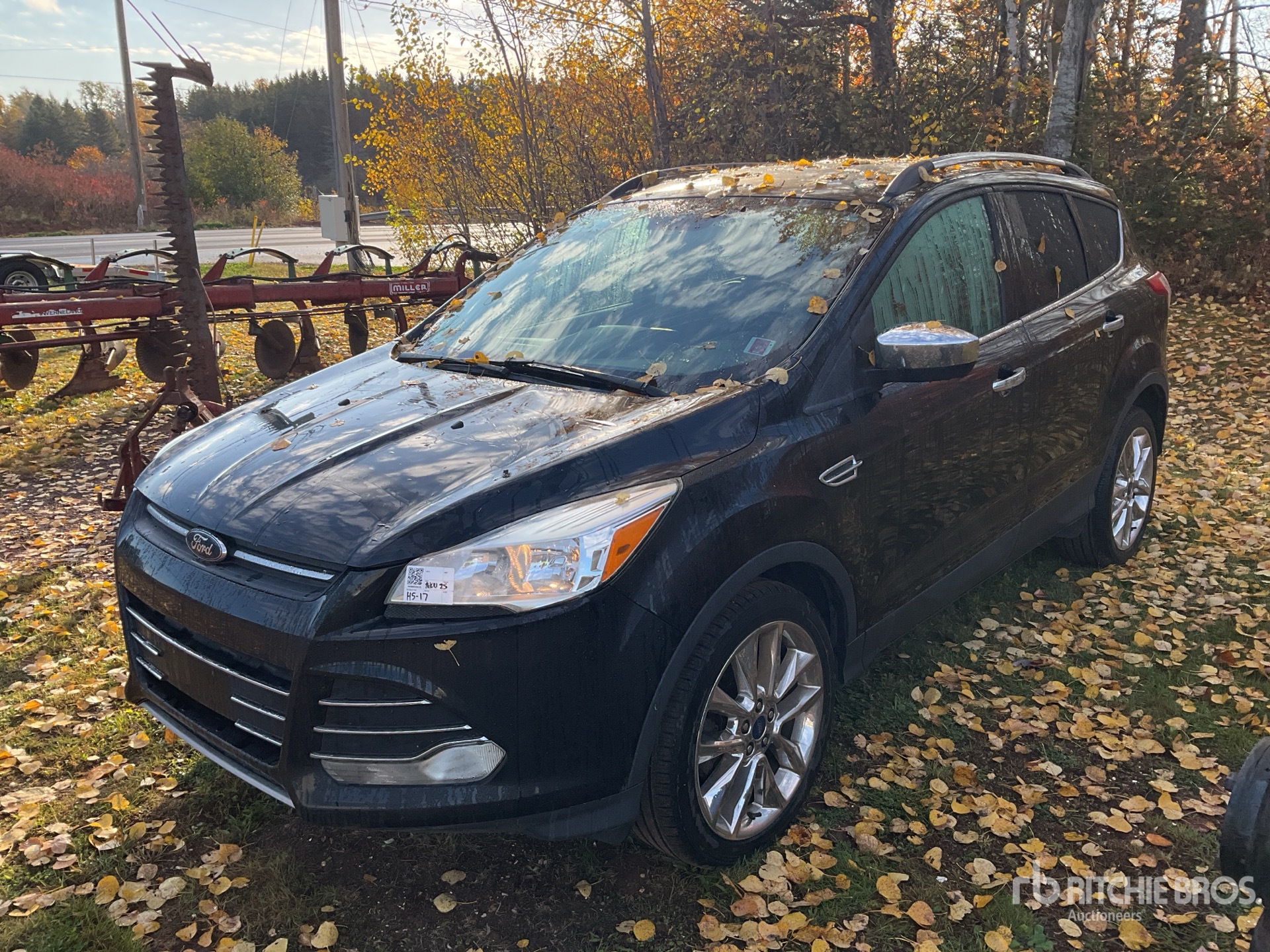 General Appearance with Picture, Left Front Corner