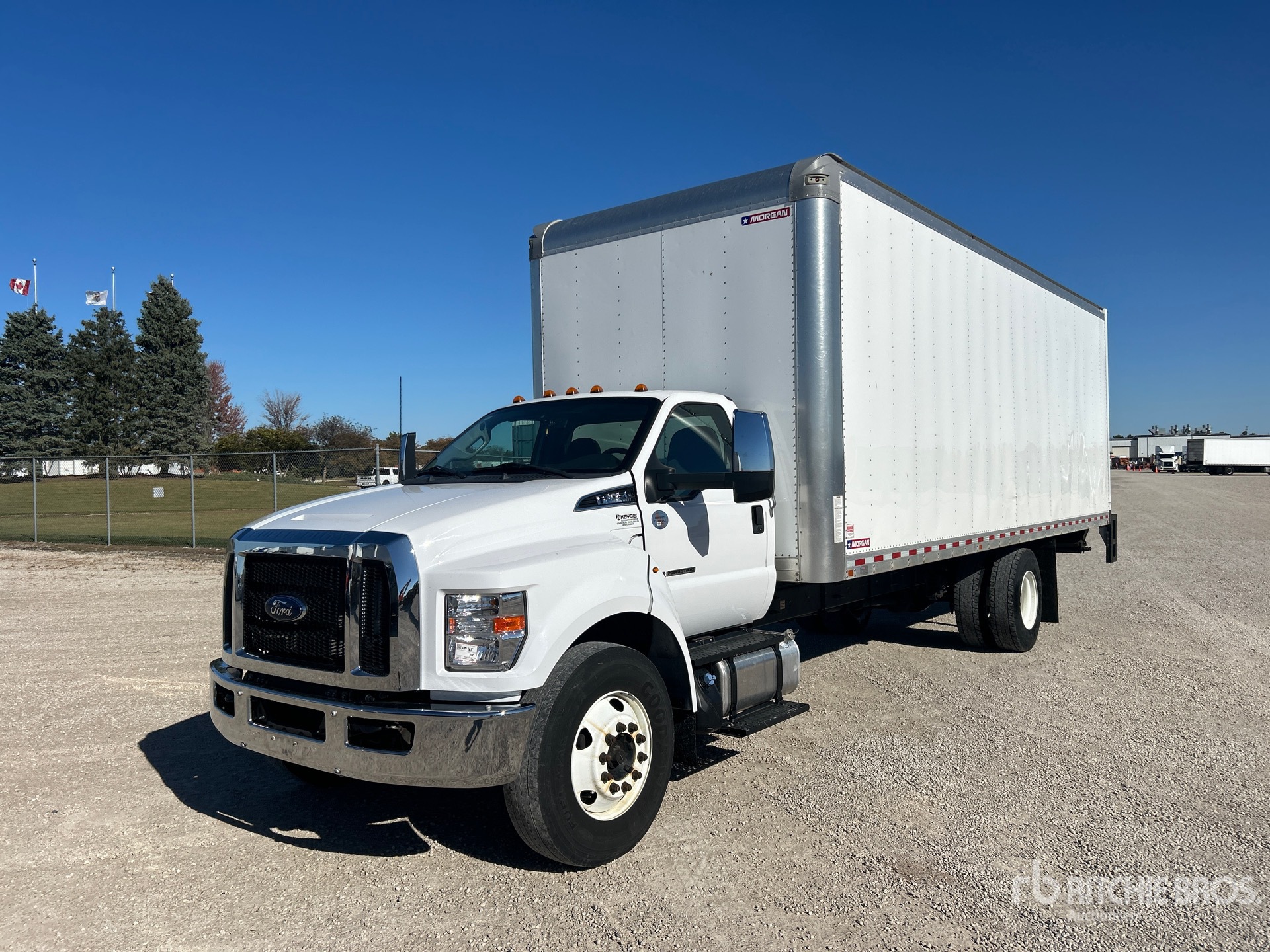 General Appearance with Spin