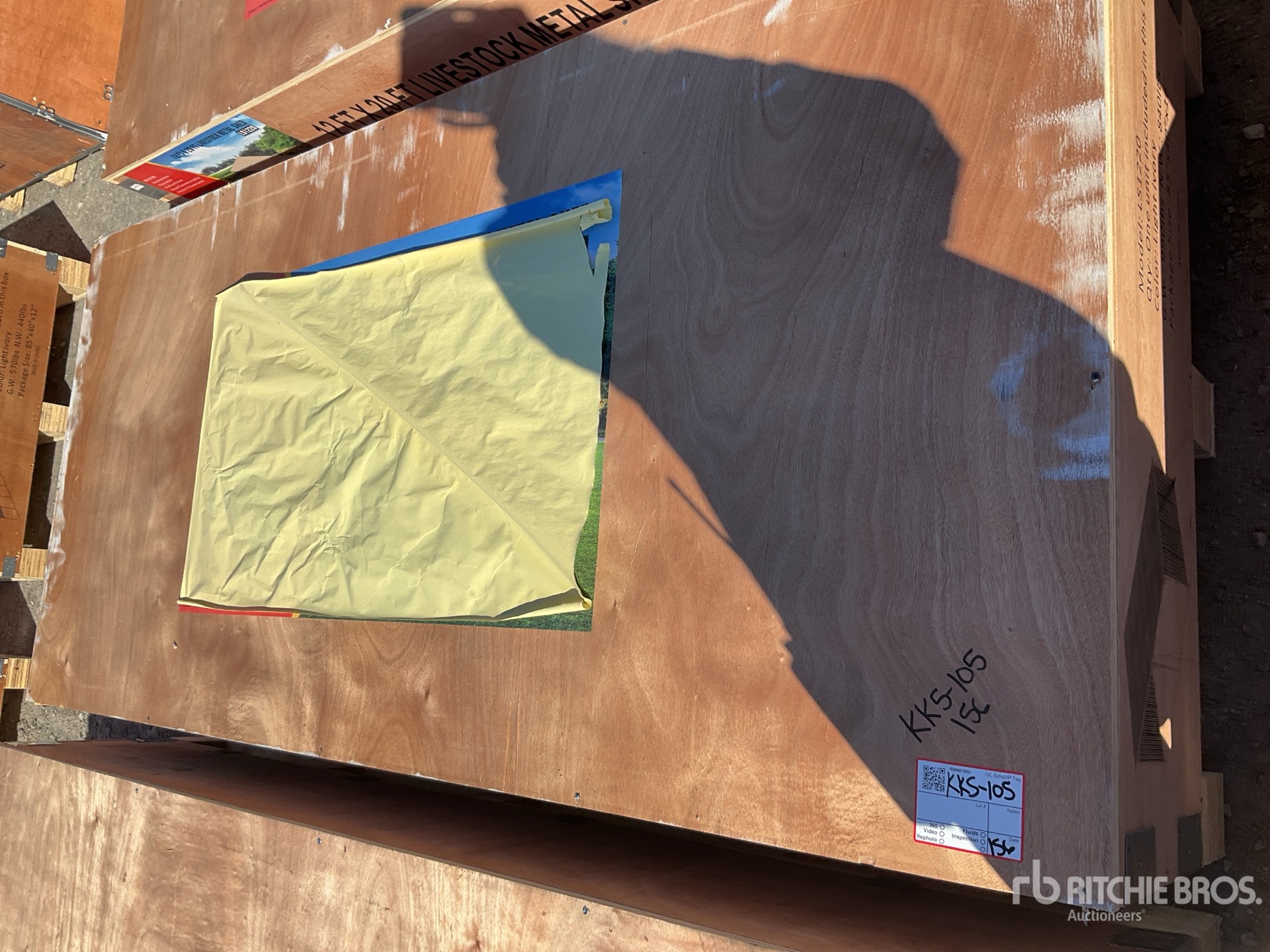 General Appearance with 