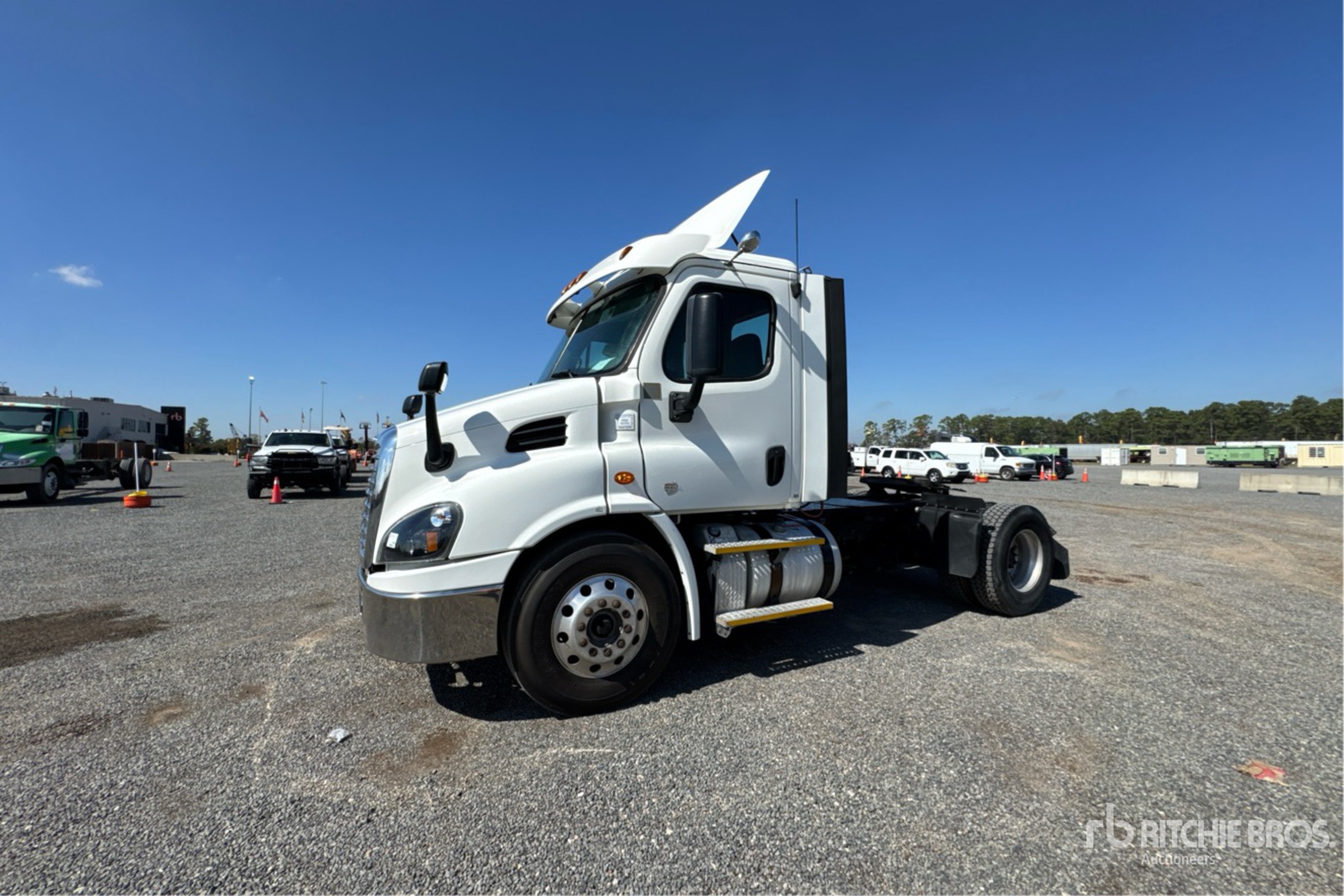 General Appearance with Spin