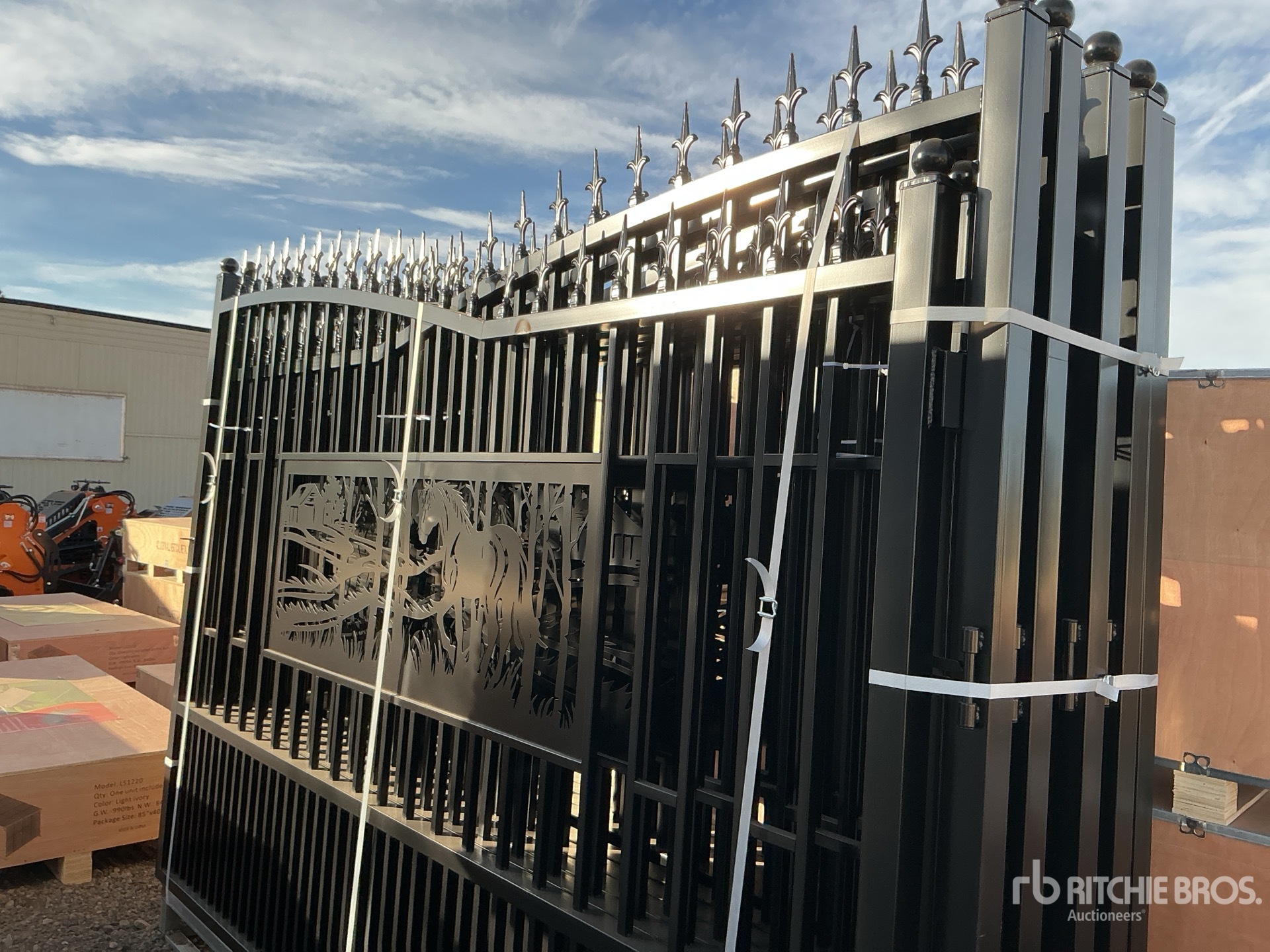 General Appearance with 